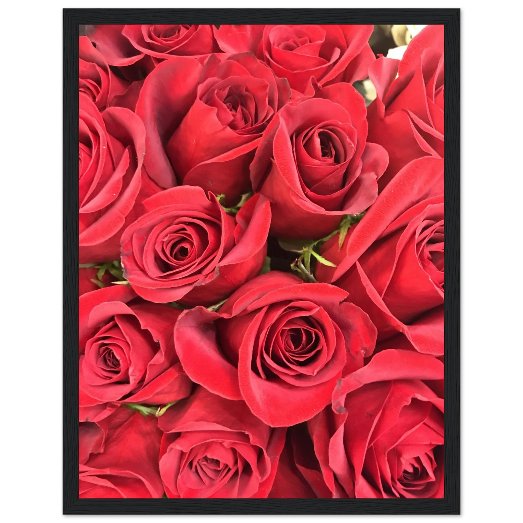 e78bdb74-2f25-4546-bbfd-ed6c4ab1dfd0