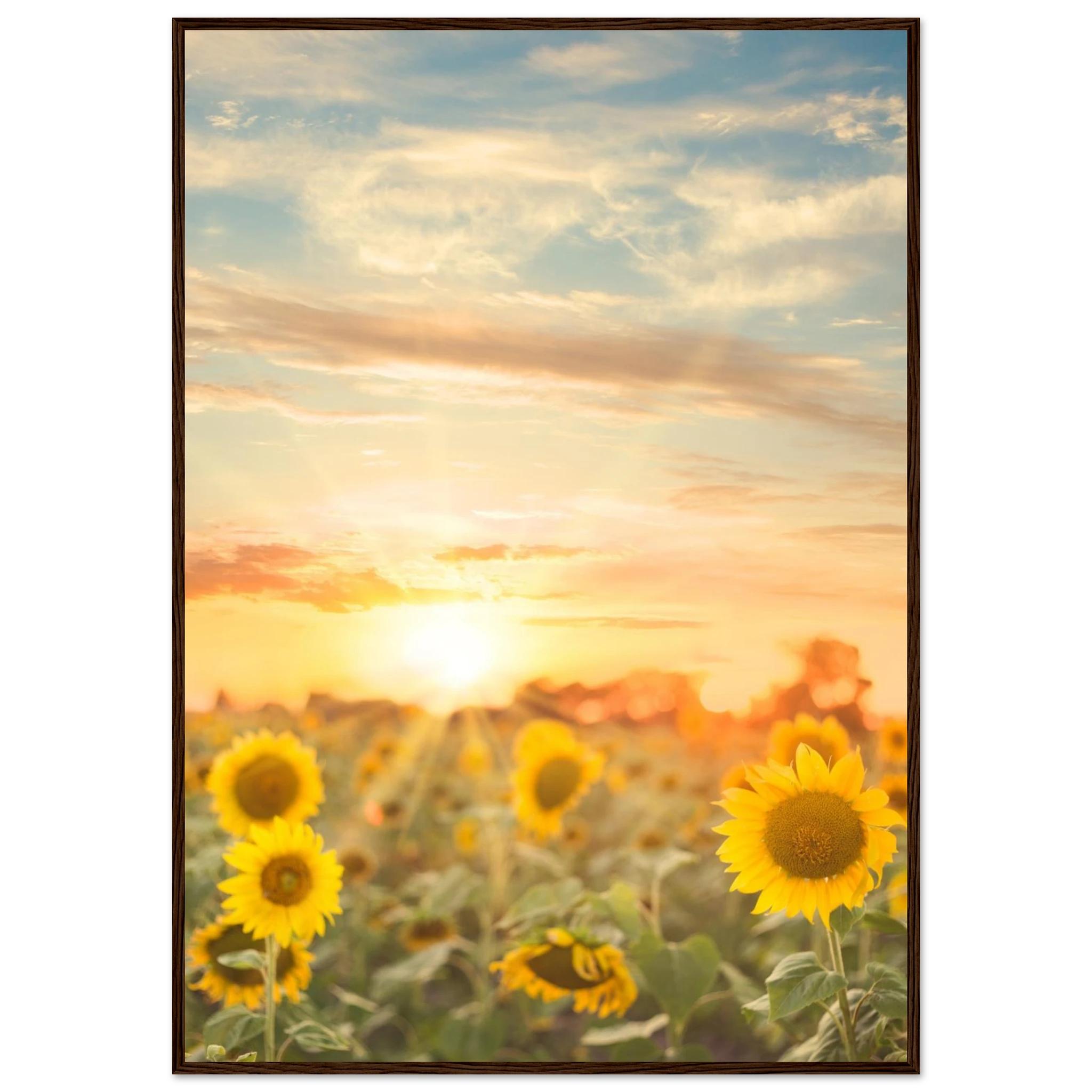 e792163f-5a79-4157-893c-6194be18f971