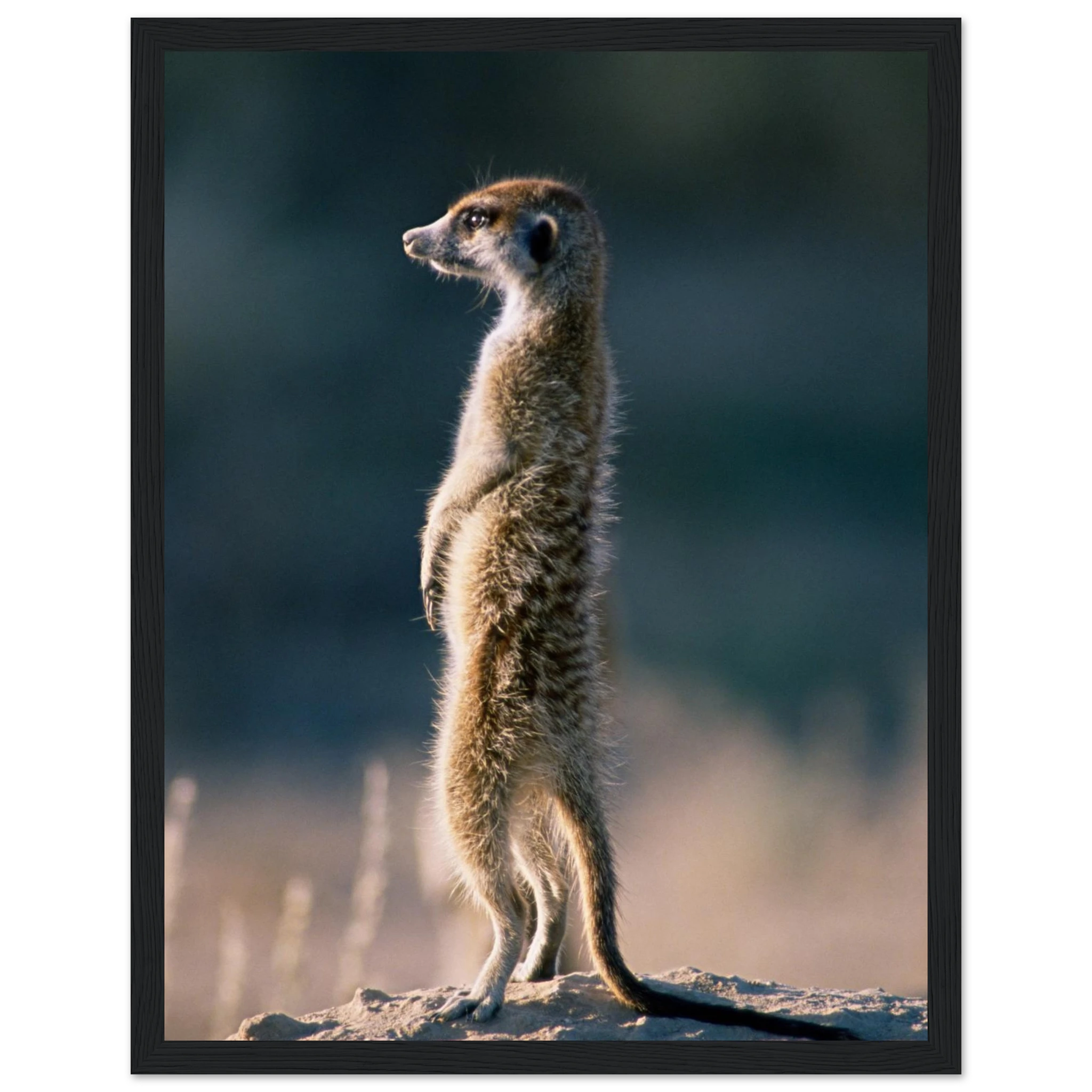 e7a0f5f5-e4f9-49cd-9dda-cd0afb38f77f