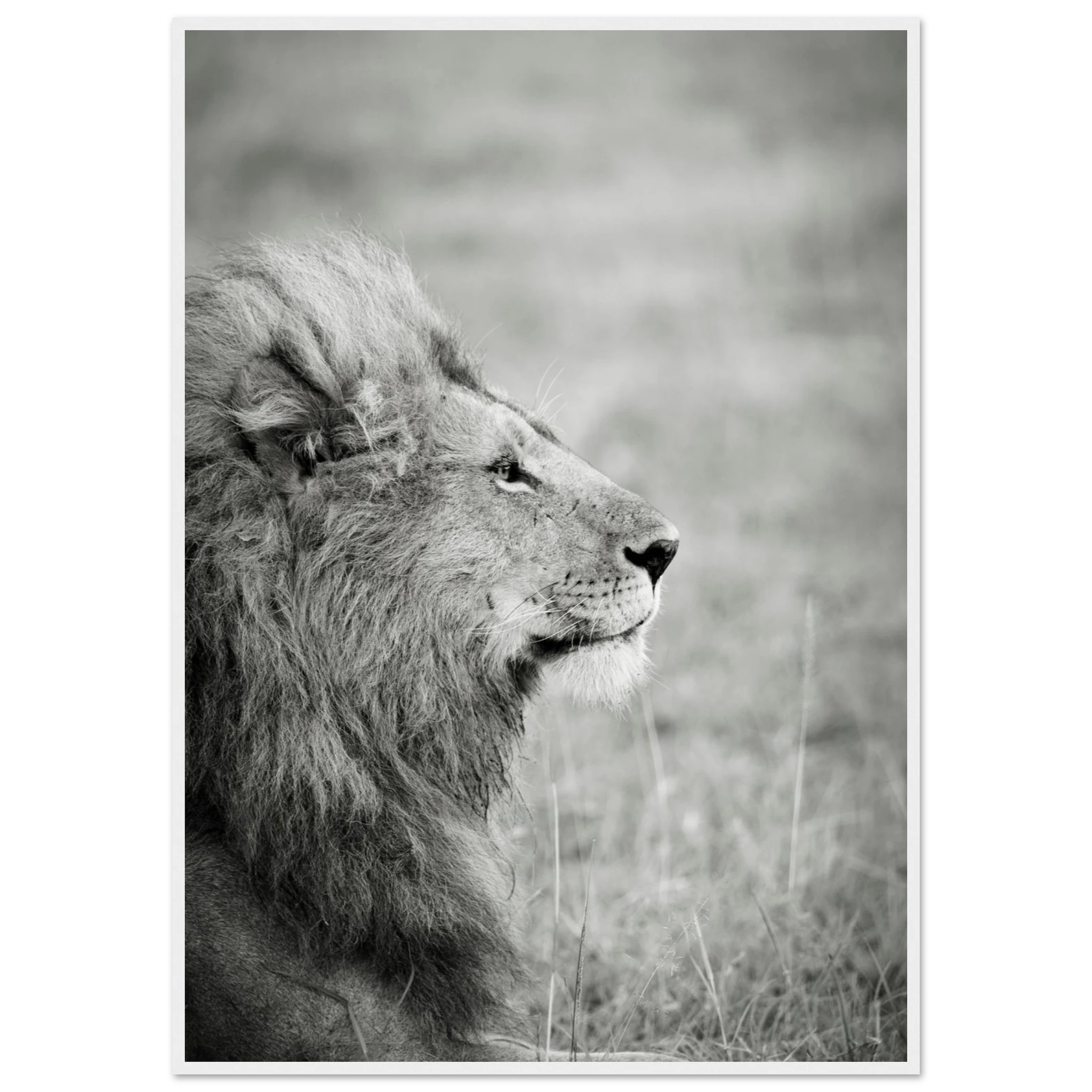 e7b0fe41-29f6-400d-aca0-640070e0c1fa