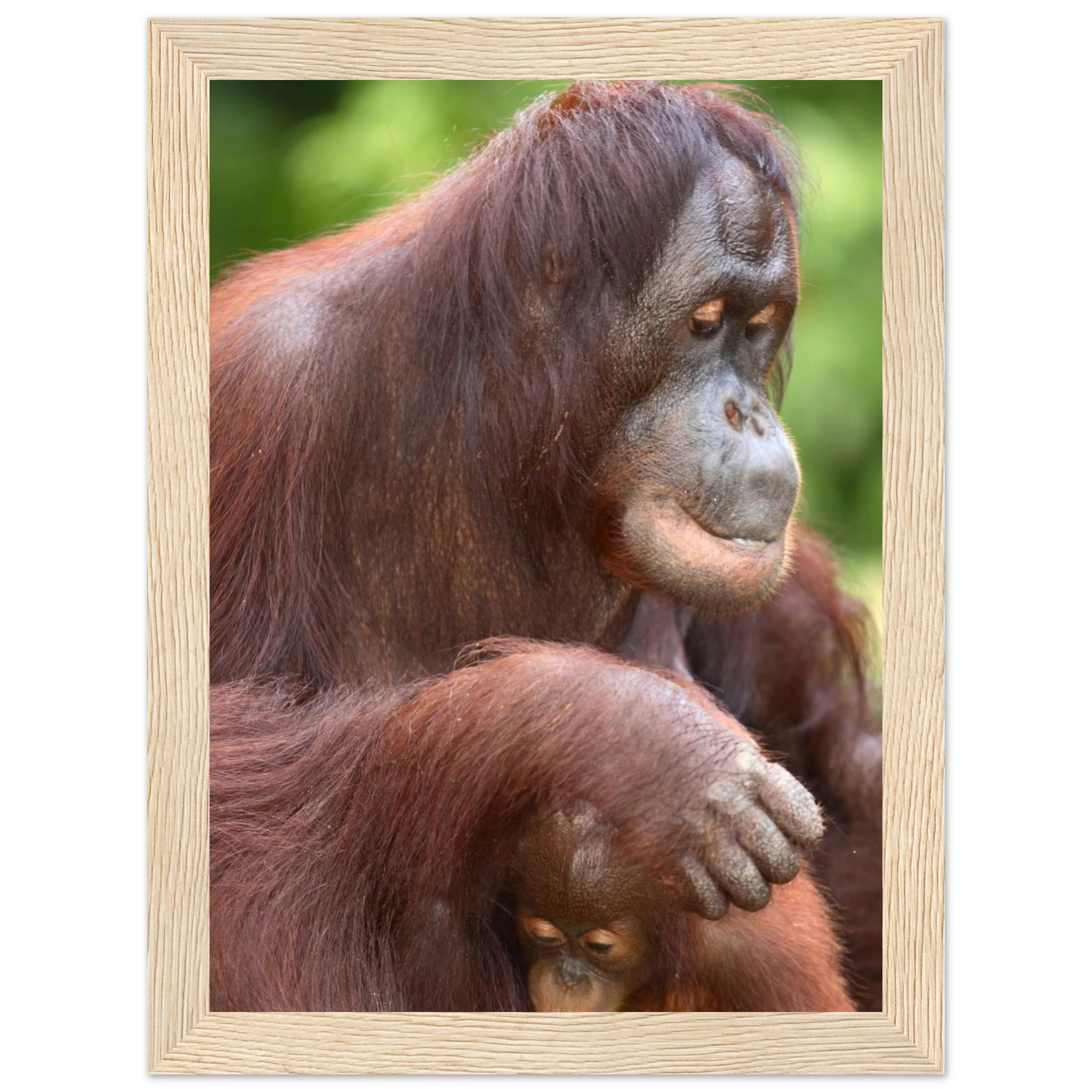 e7dc36d8-abad-43a2-b018-7e041a3b4f00