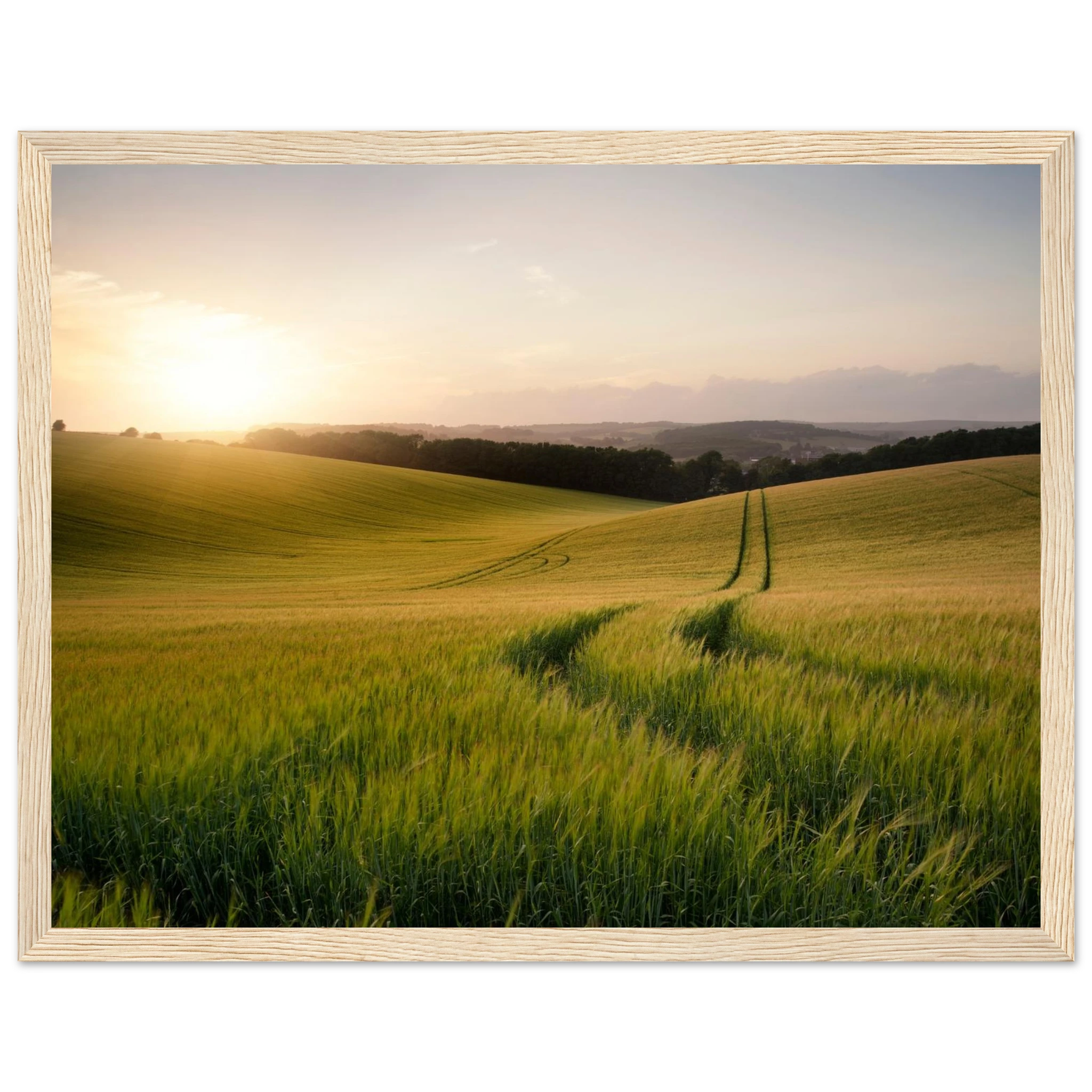 e7e834a1-bfd6-470c-b6ed-0368a3c22fd9