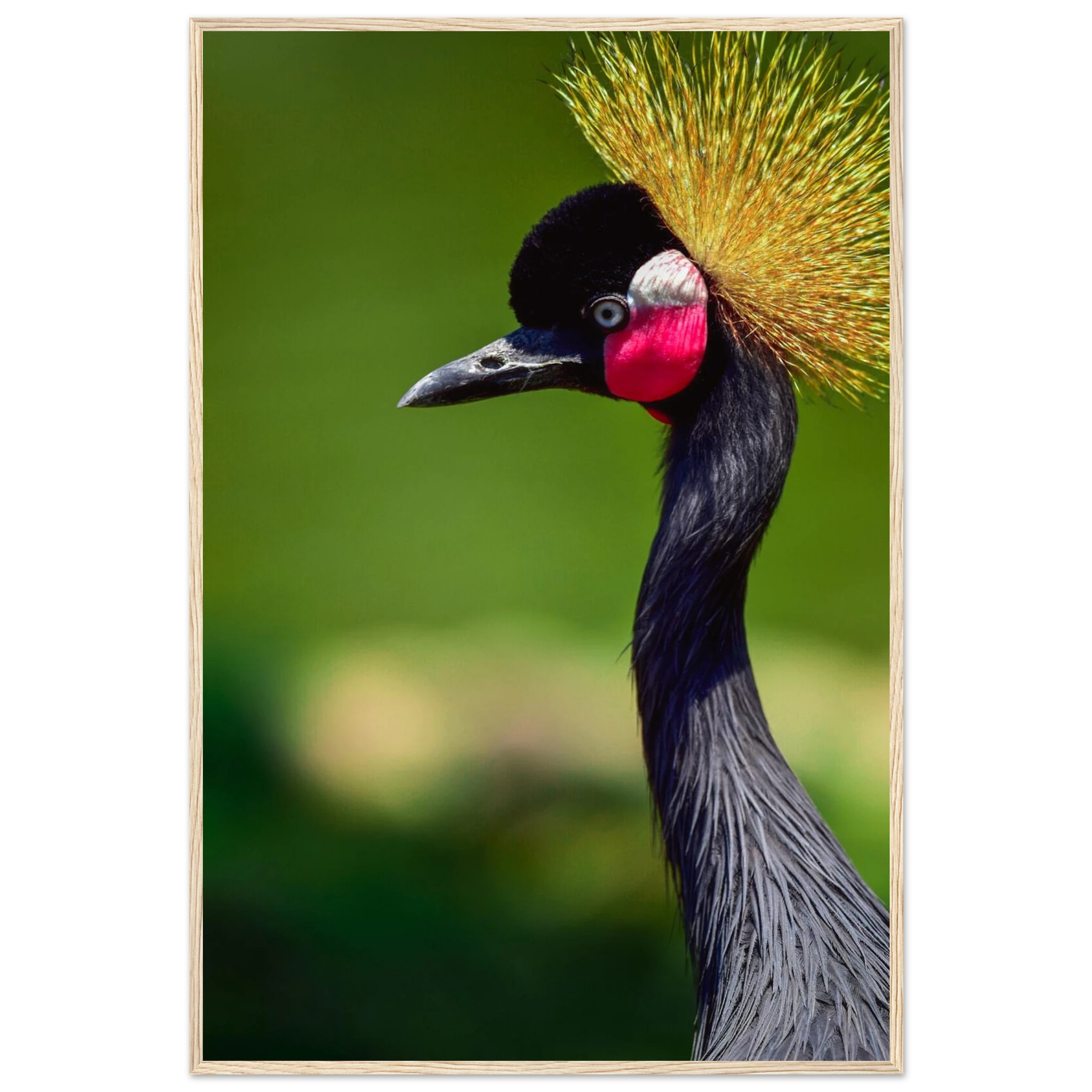 e8182ff3-cc9c-475e-ba26-541277797f3c