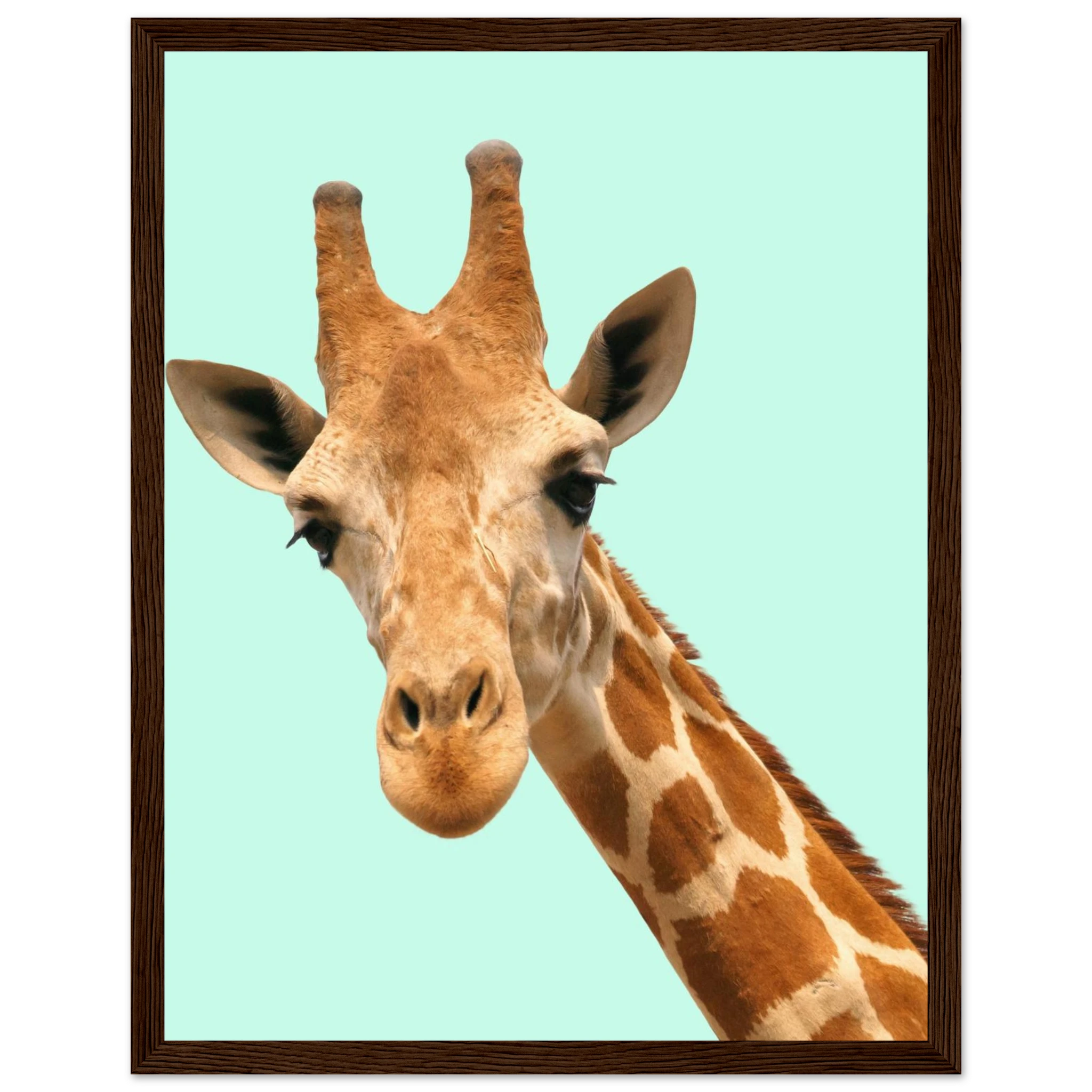 e866aaf8-ecc3-429e-805c-2e7f8b82e0b7