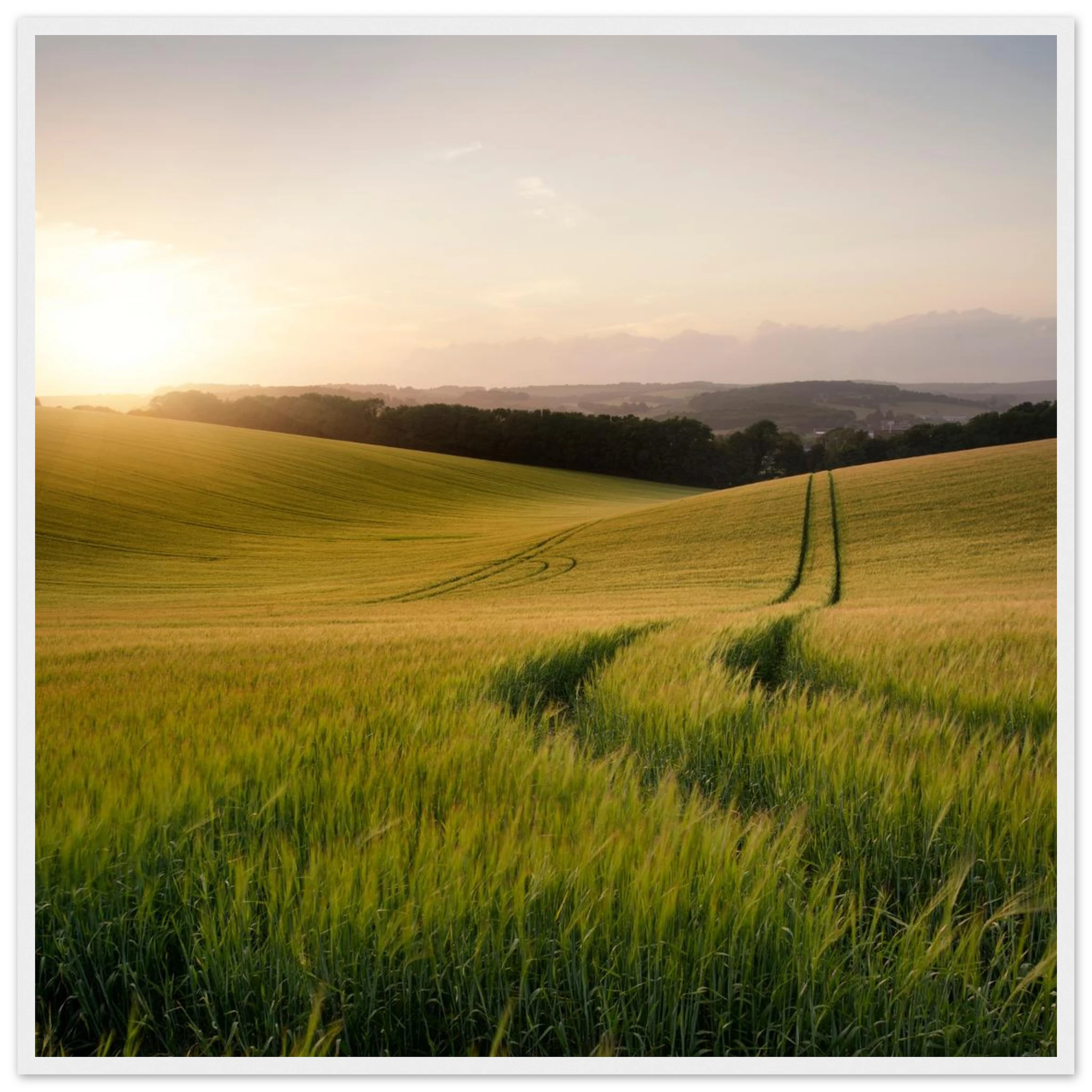 e8787f4d-8a8b-44b5-9497-74df97660301