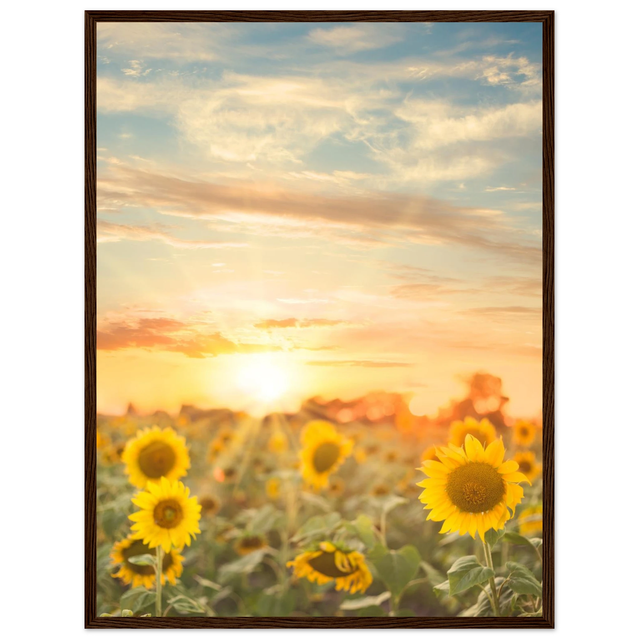 e8904f63-94d4-4a1d-a13a-9e24f673a7dd