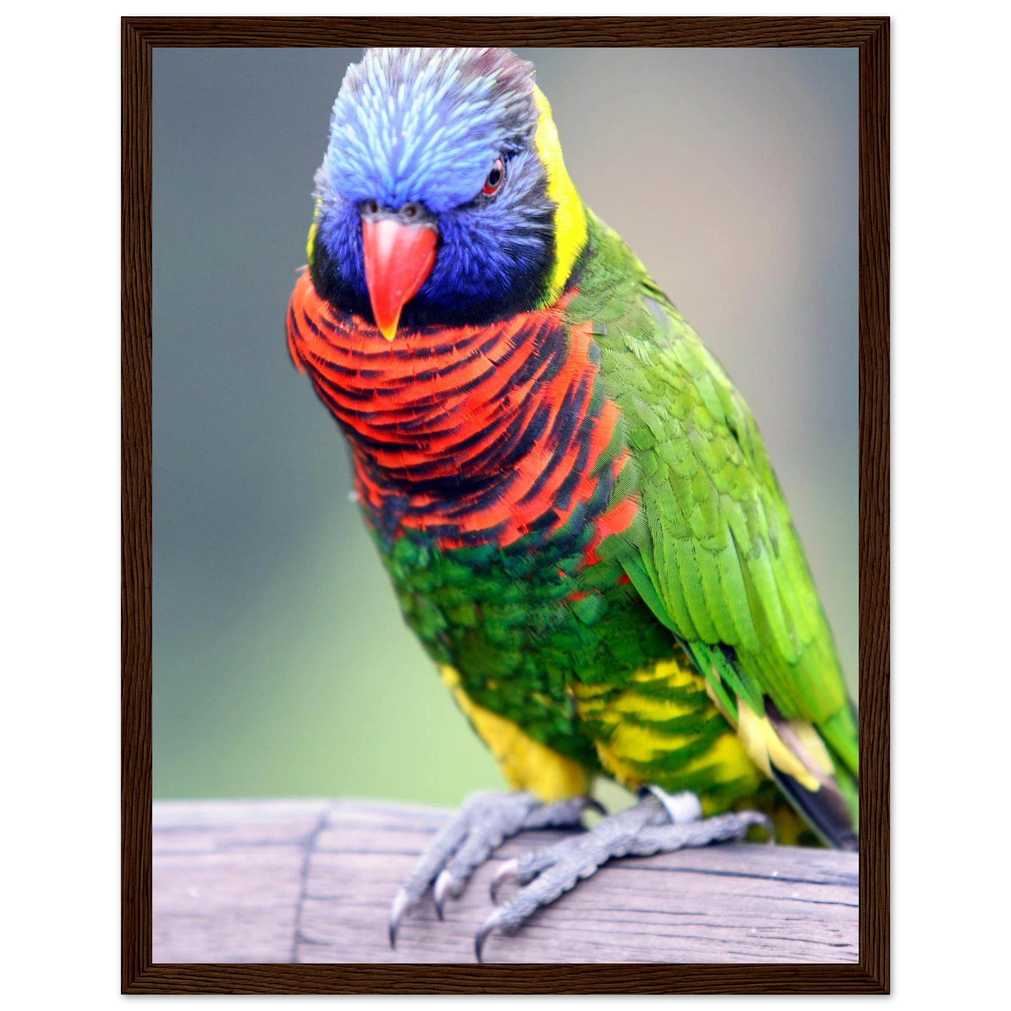 e8a90ea8-dfc5-4be4-9ccf-d9232249e1e6