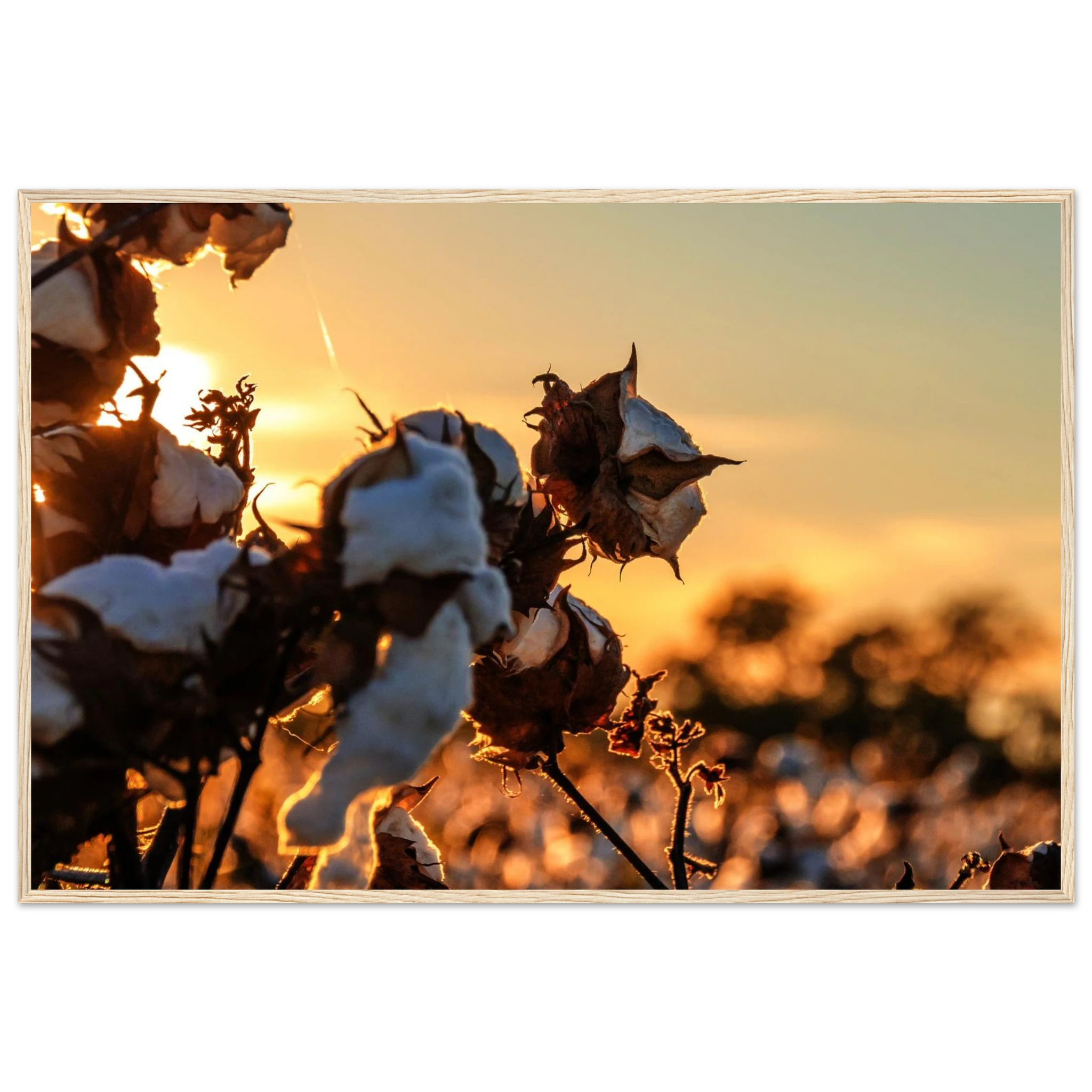 e8ba8ad3-e1f5-45f0-b517-2e4794ea1a5e