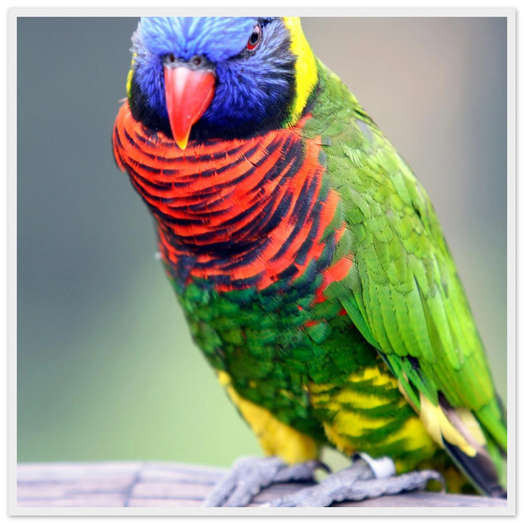 e8c5c83f-d969-4703-8b97-dc76b05c13d7