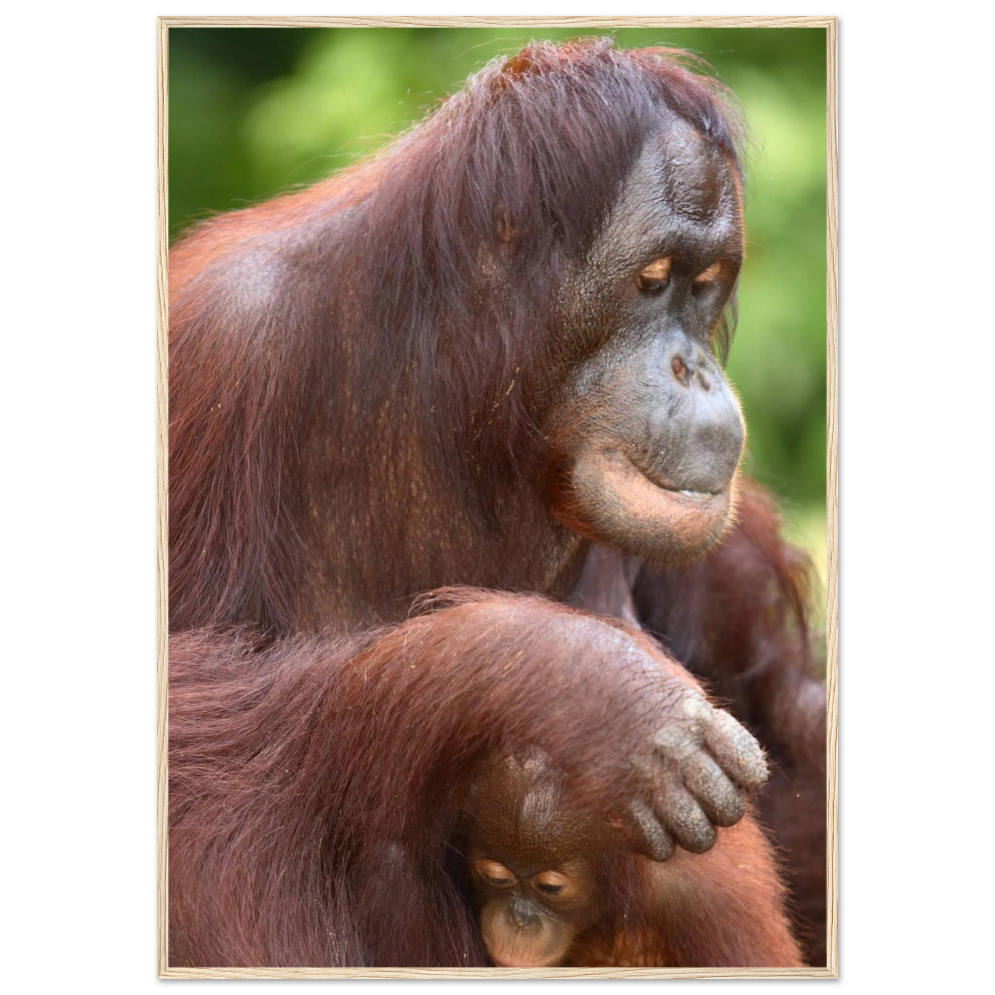 e8dbe4af-50ad-43bd-95bd-e2185e5e2fe8