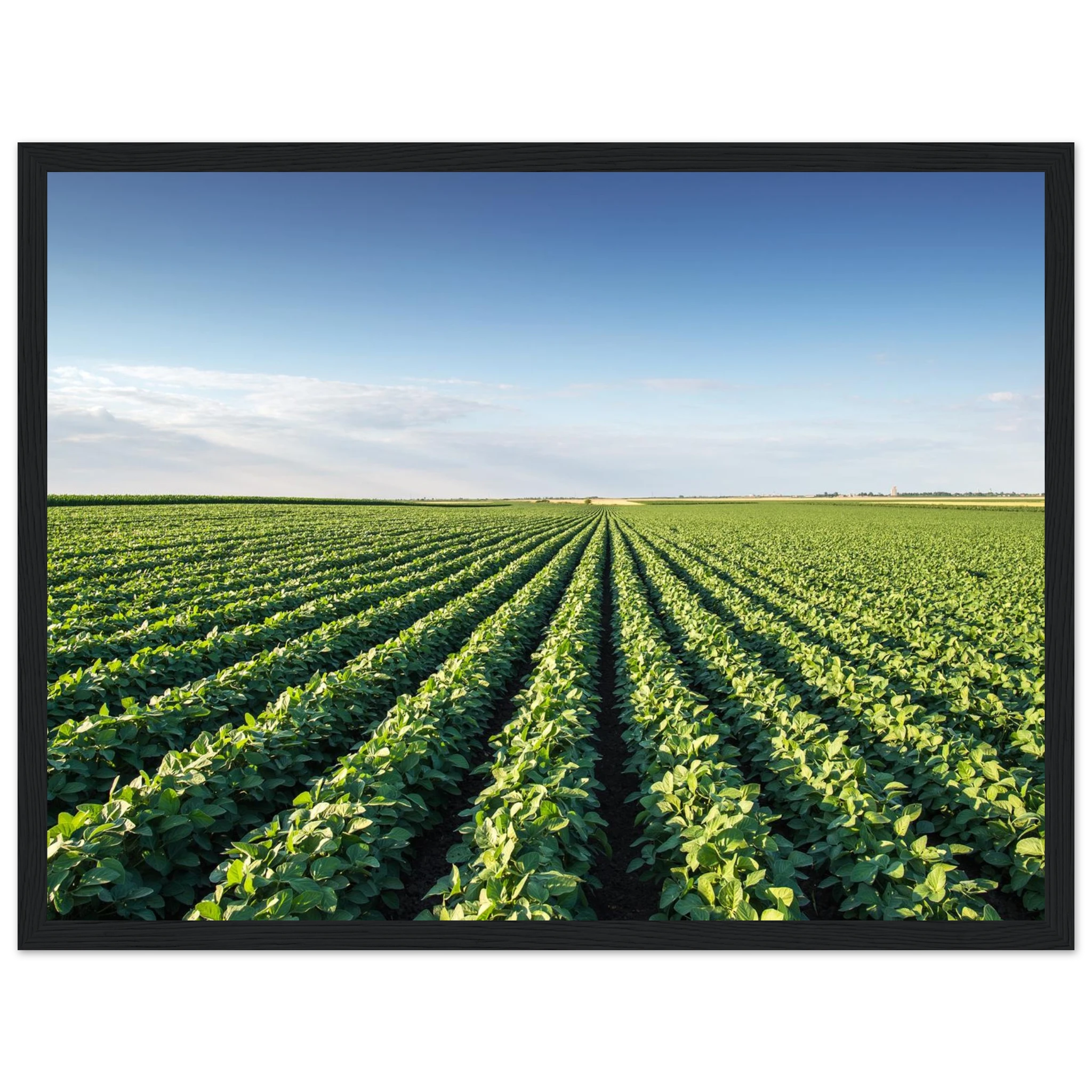 e8e8e3dd-b56d-4121-9ee0-b6c473abcb83