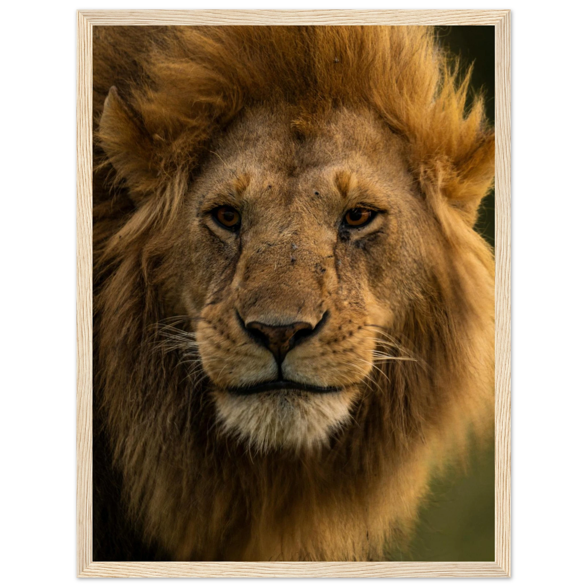 e8ee3b71-50aa-41ce-ab0e-52ce3355573b