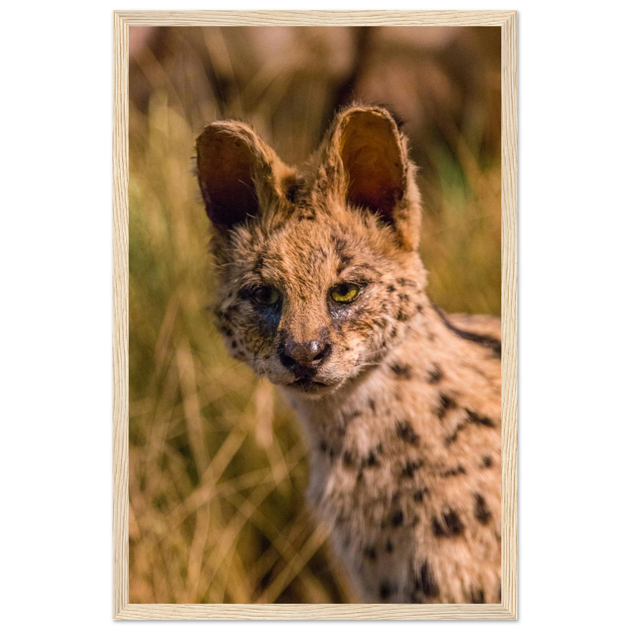 e8fd0a1e-c652-48d8-92bf-0a56ce6a1015