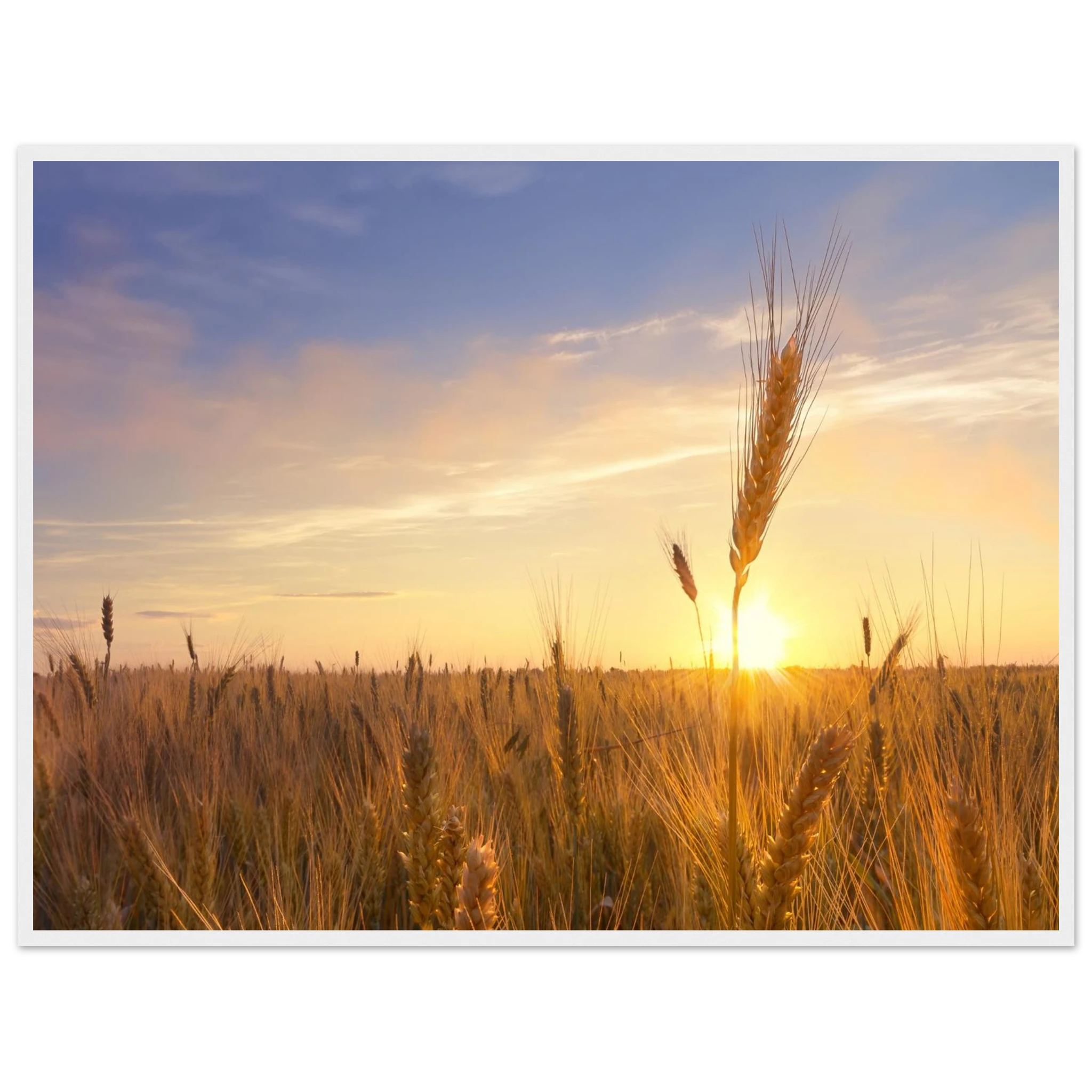 e90a8485-bbad-4611-bf88-c1570688024e