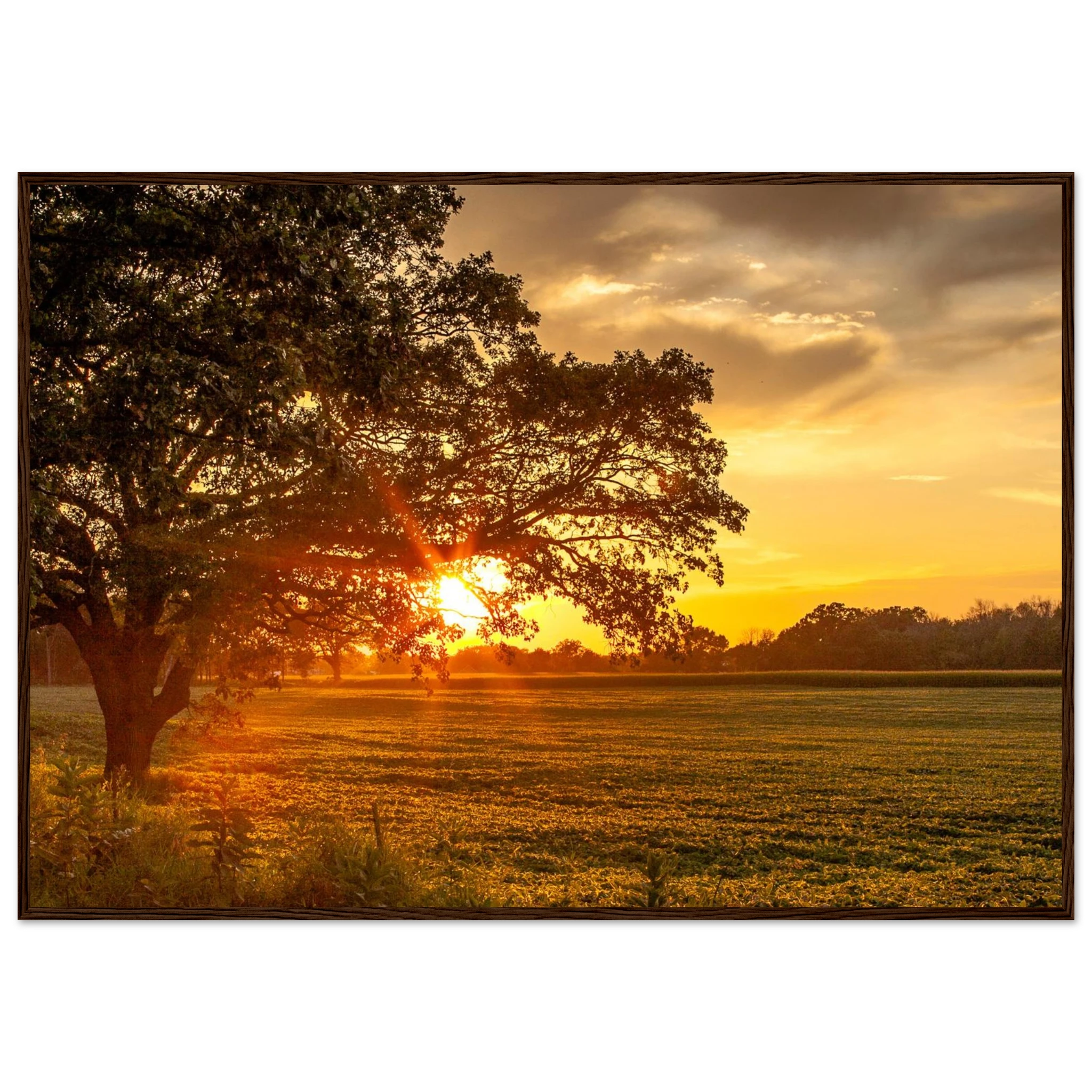 e91a2cd1-93cf-4e77-b914-4c0286178b88