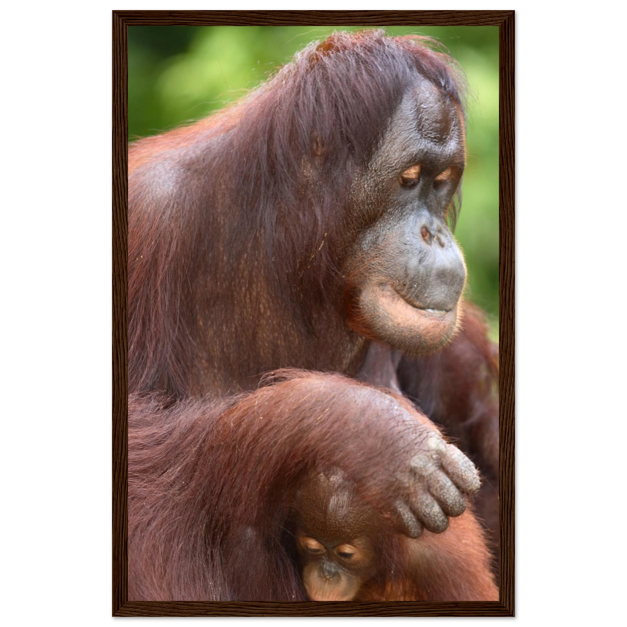 e9312cdc-9a5f-4c11-ad8c-6b2ba88b75e8