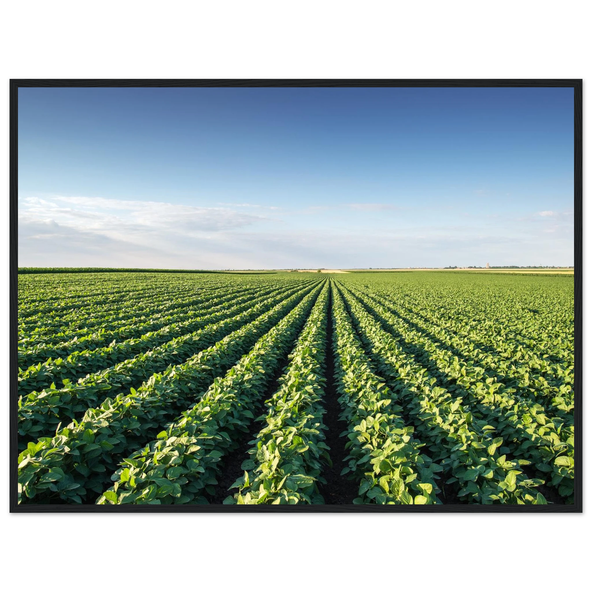 e99287ce-0b95-4ac8-bc32-c7b4bedc2154