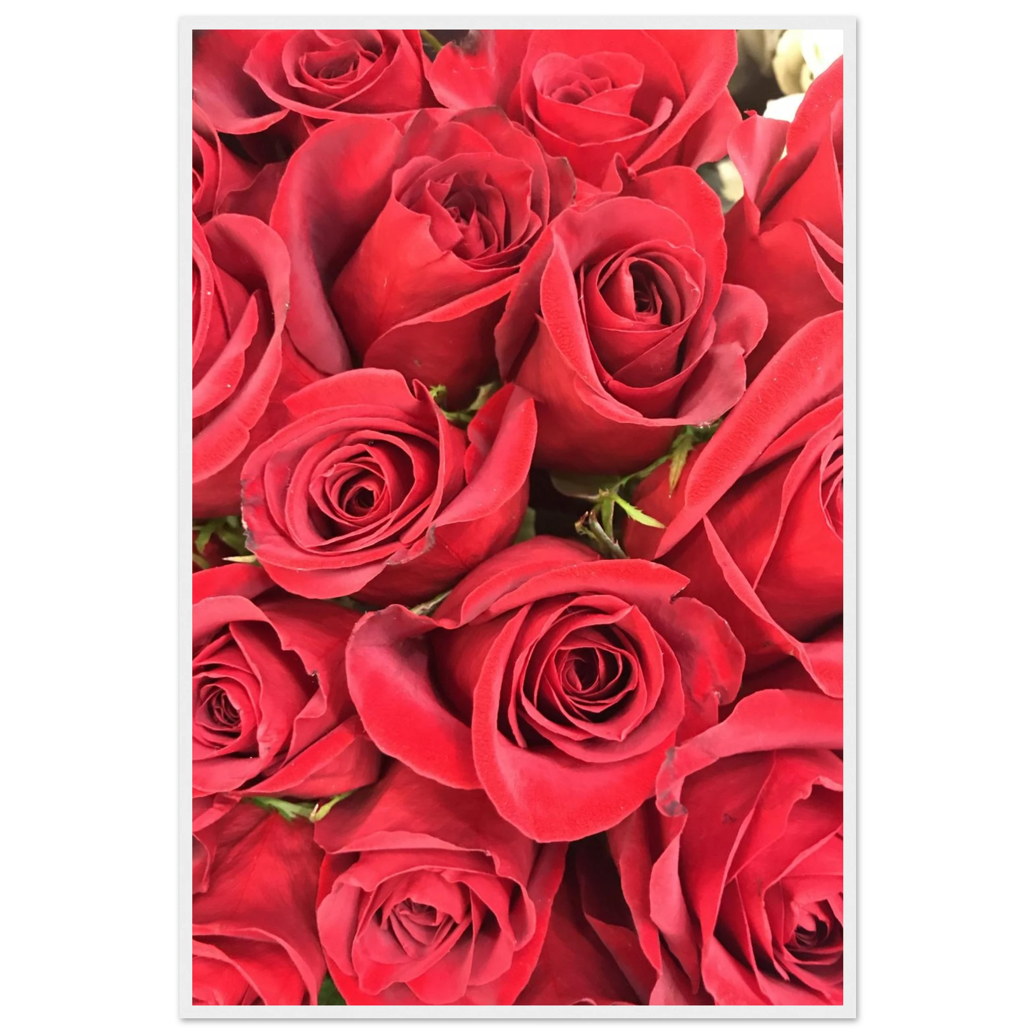 e9985680-5da9-4e76-acf3-d0beffe4f67d