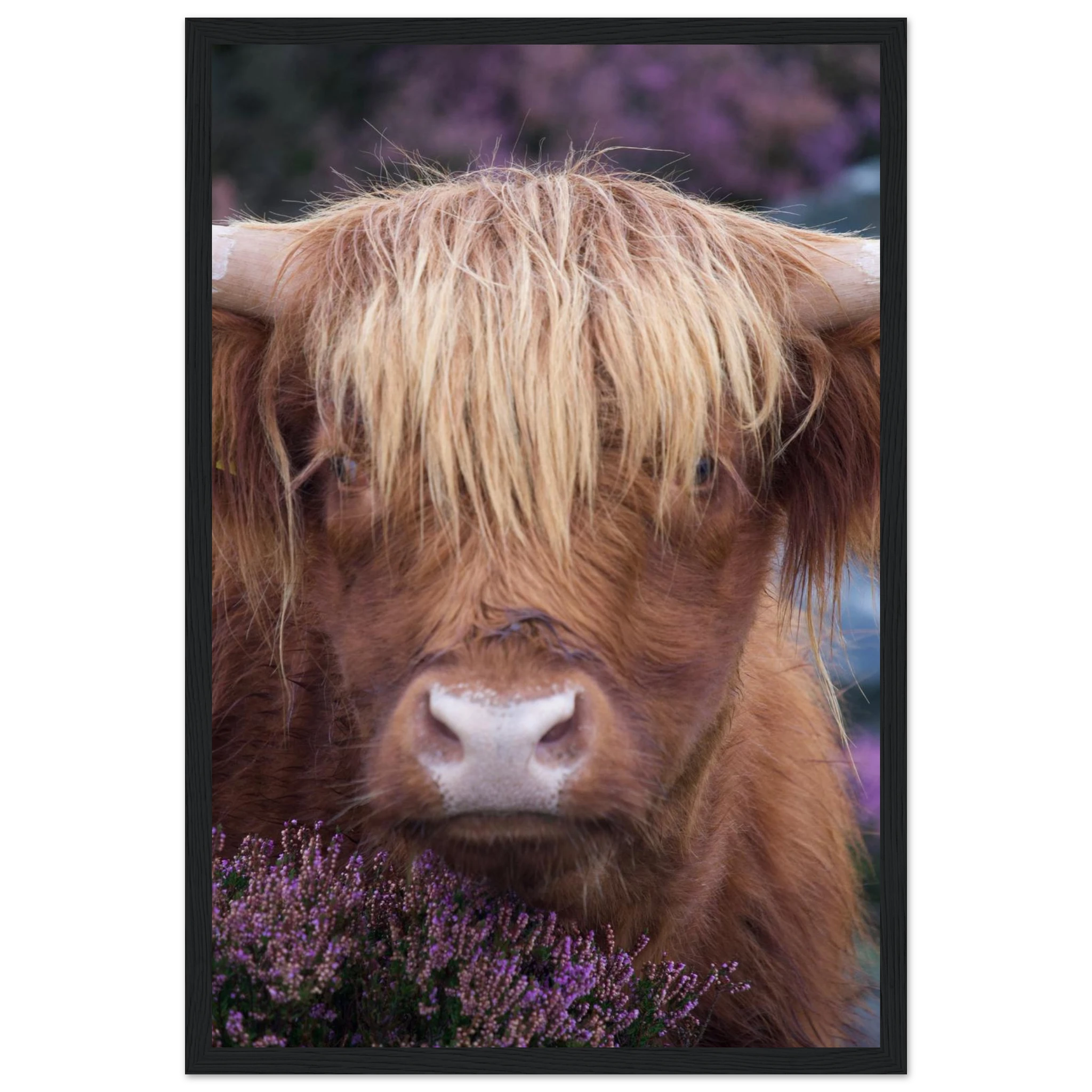 e9994f0d-f8b9-4263-b3a4-4352b21e7e70