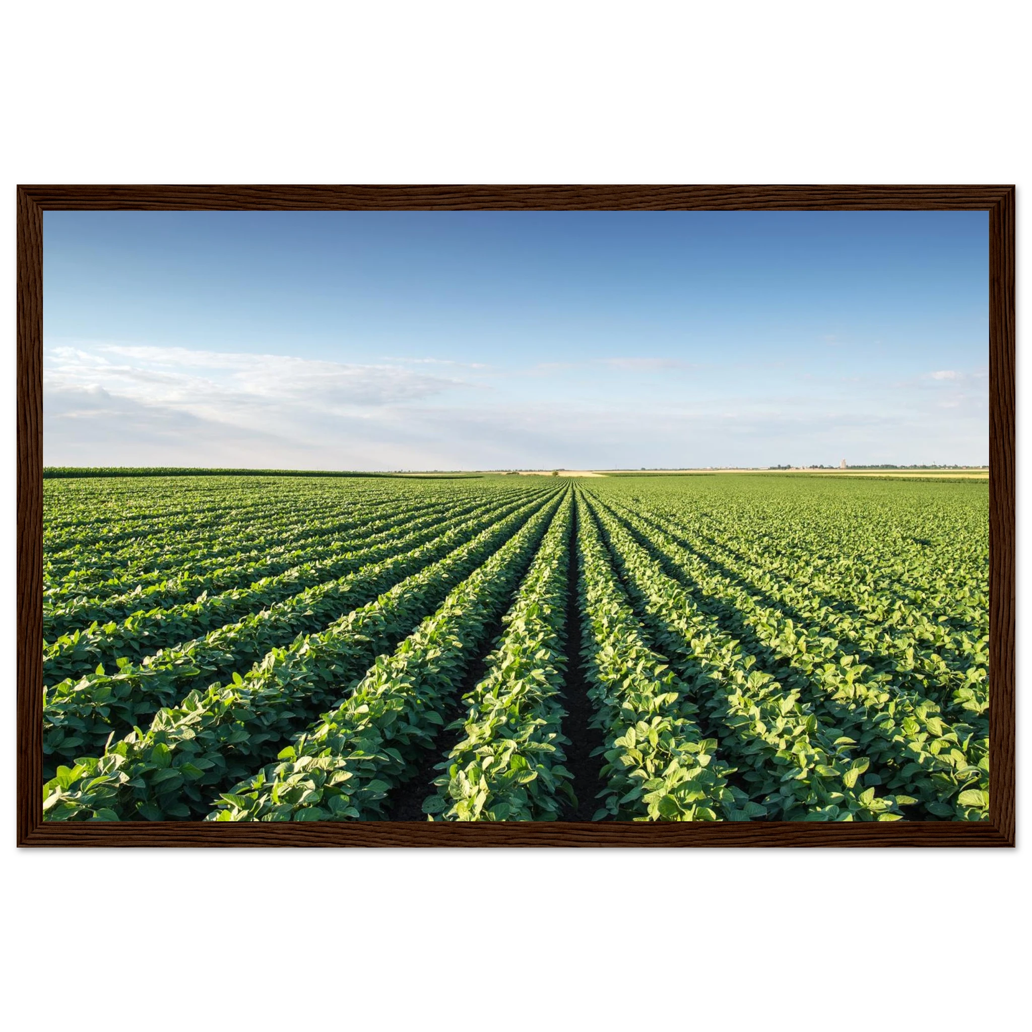 e9a52a34-2400-4ea4-ace5-9e311cba18ea