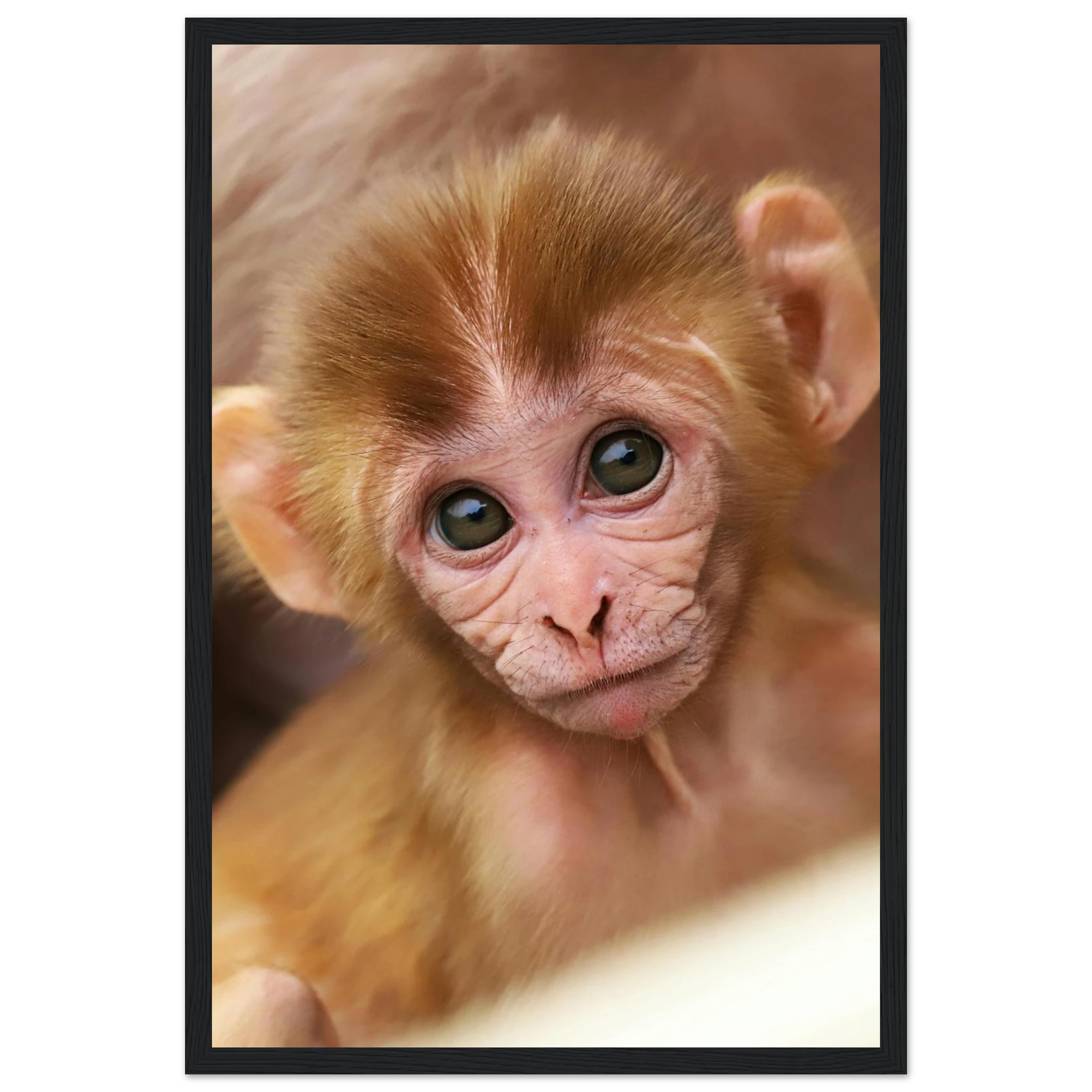 e9a81d44-e6ef-44ae-93b8-ad7697b1d2fa