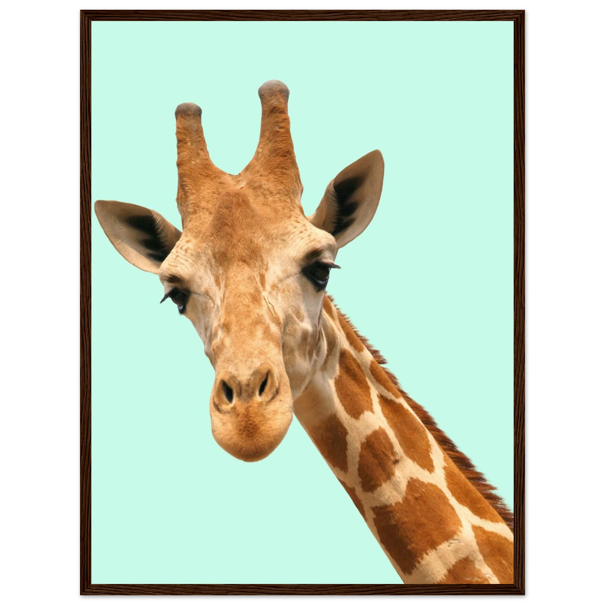 e9c9c3ad-f40f-4985-9059-9e4a99c81680