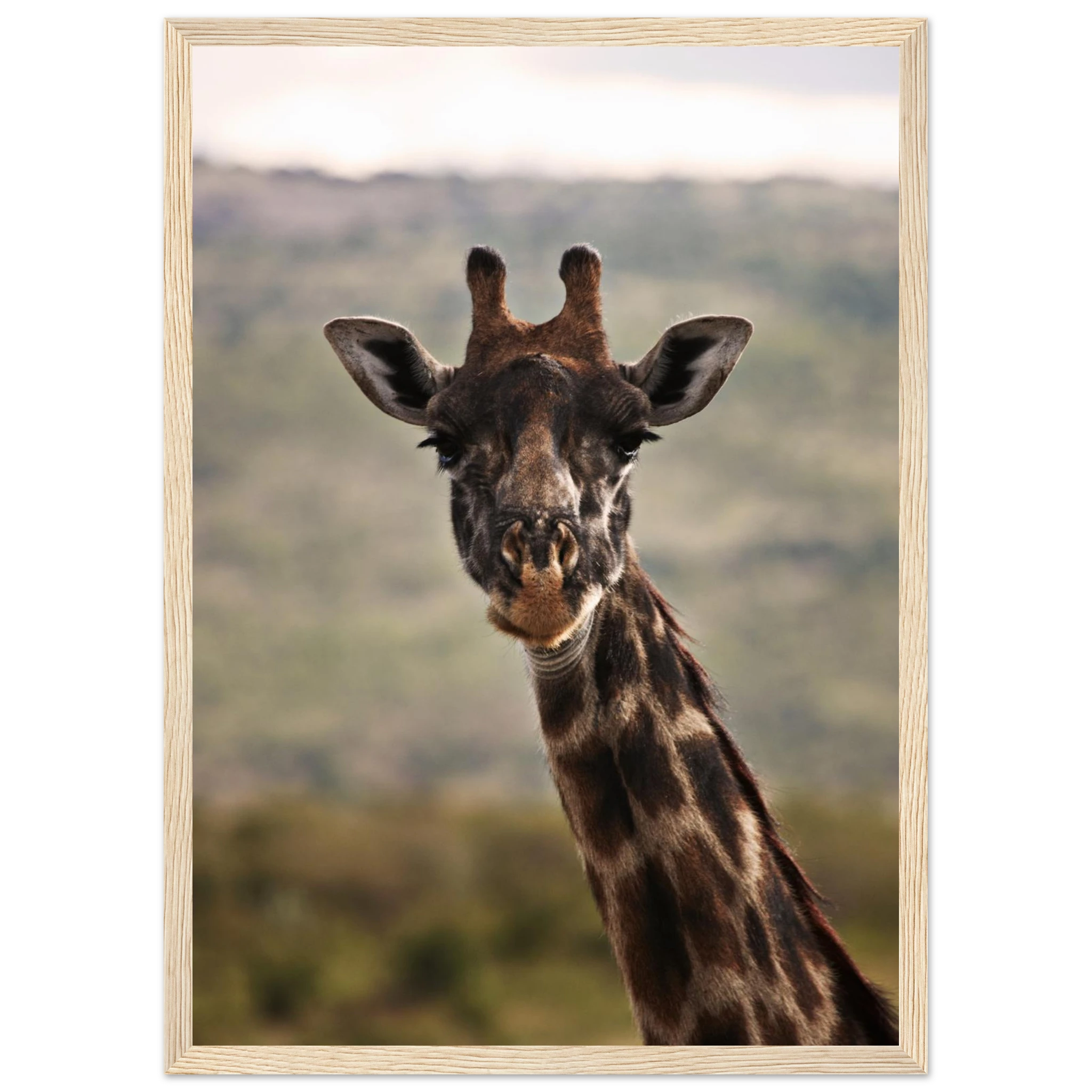 e9dc4c56-12fb-4507-b4df-8a97623ef93d