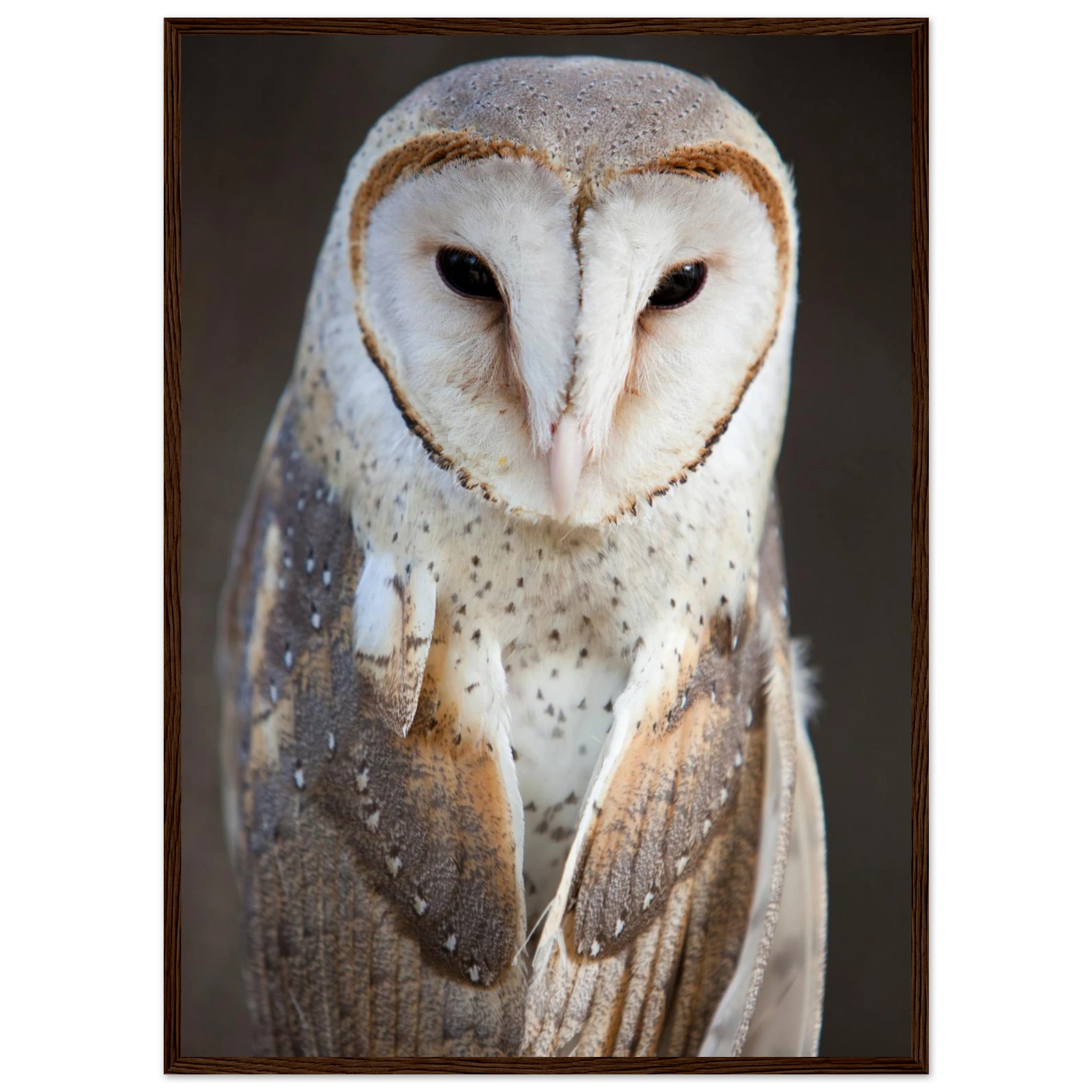 e9e5ab0d-98f5-4d8f-8b34-e8489e2e6cf6