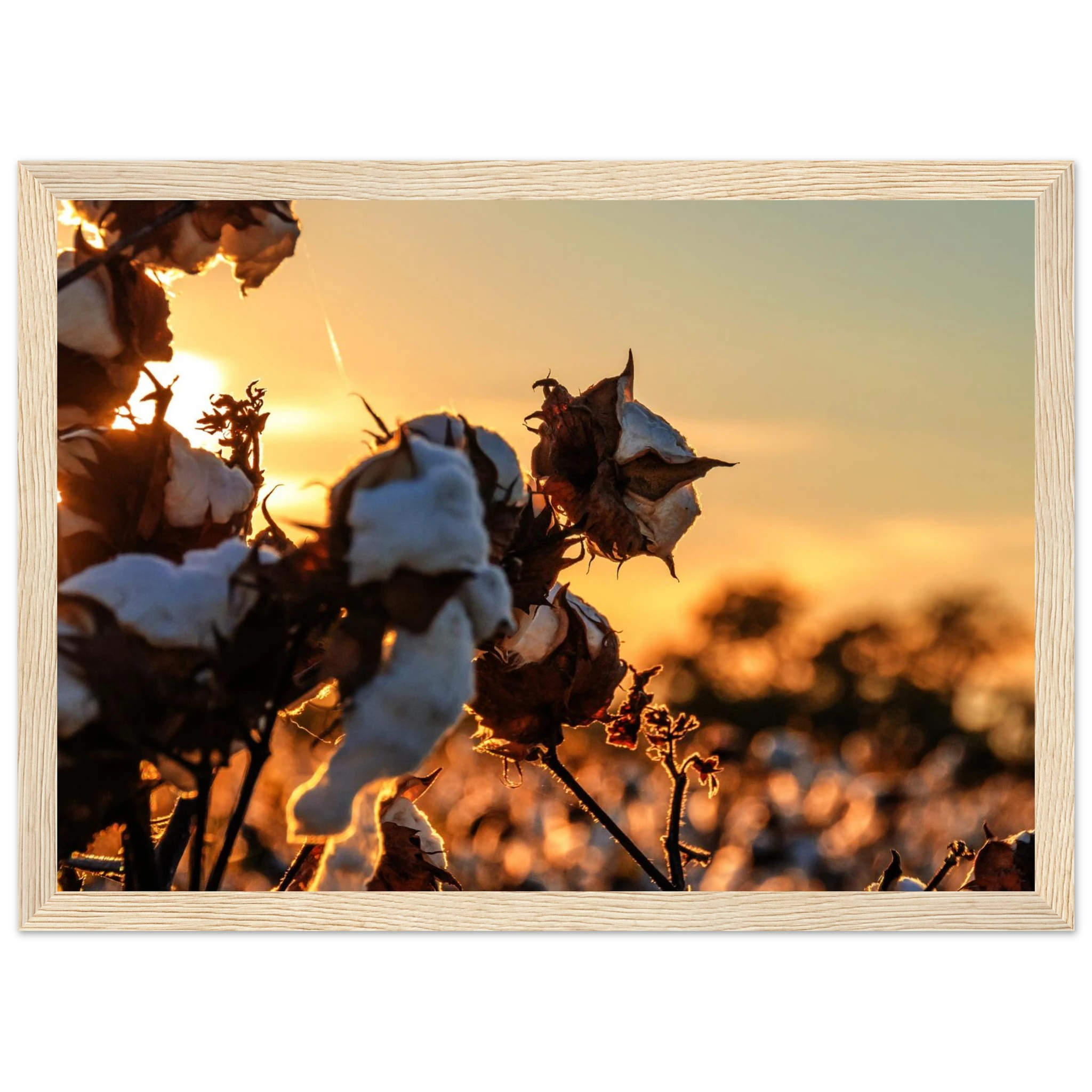 e9e86c12-9d03-4d42-b25f-bf7ed15d6239