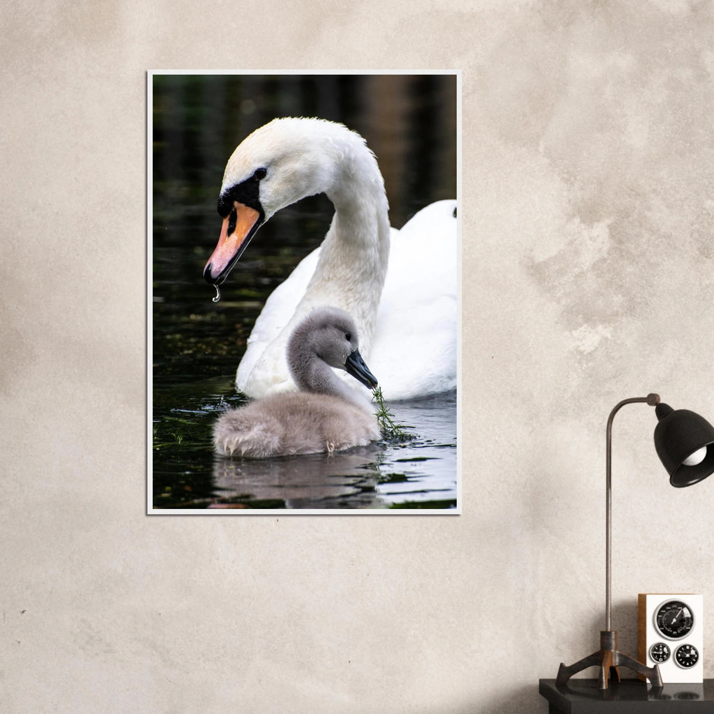 e9fc5e51-d76a-4d71-be78-c4823f4a747f