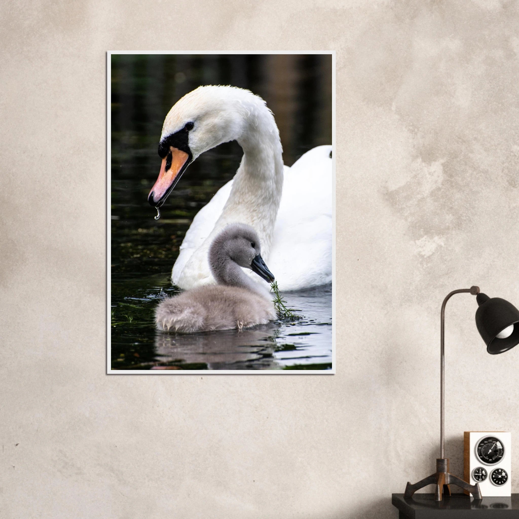 e9fc5e51-d76a-4d71-be78-c4823f4a747f