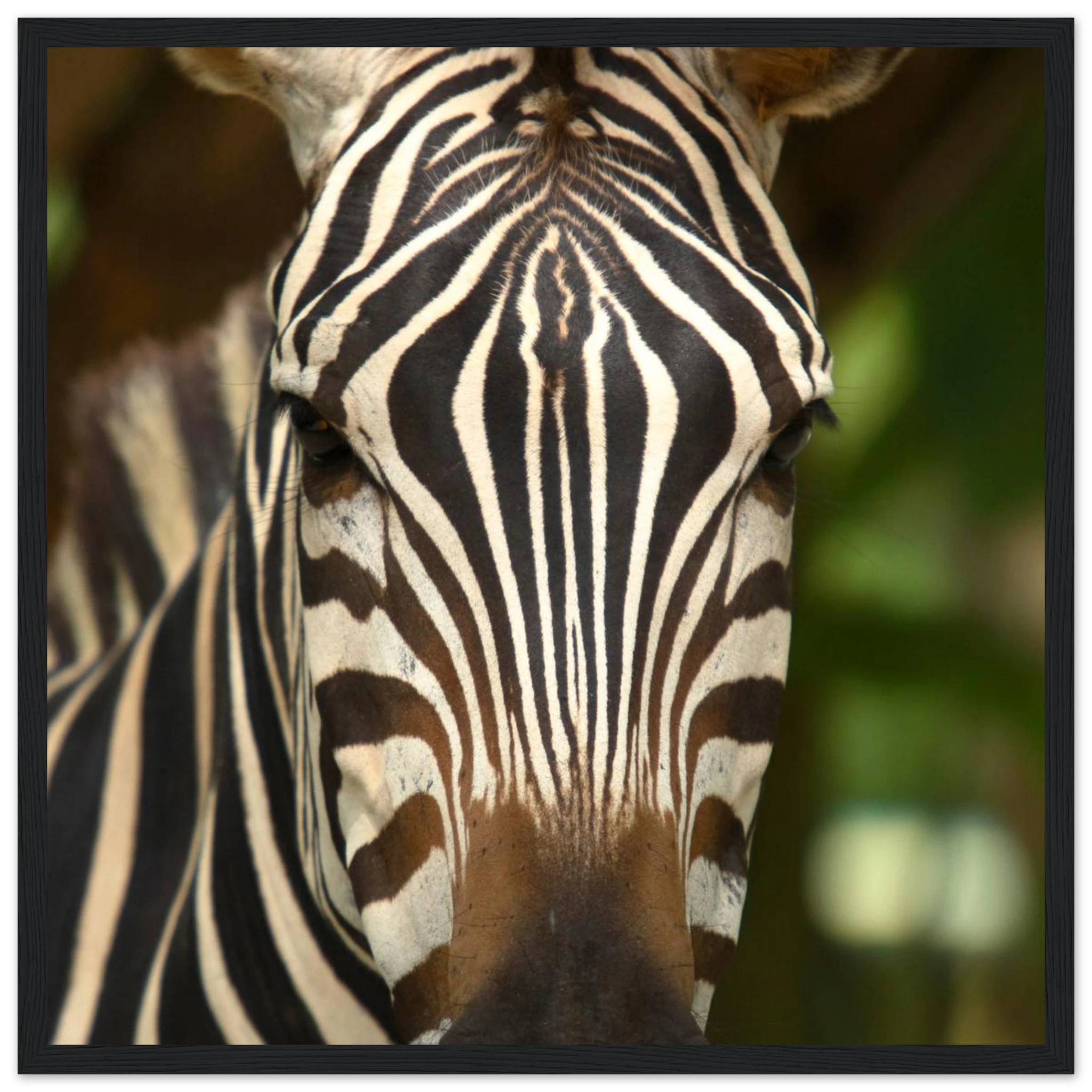 ea0d2318-6f83-4e7d-a154-42477626e8ee