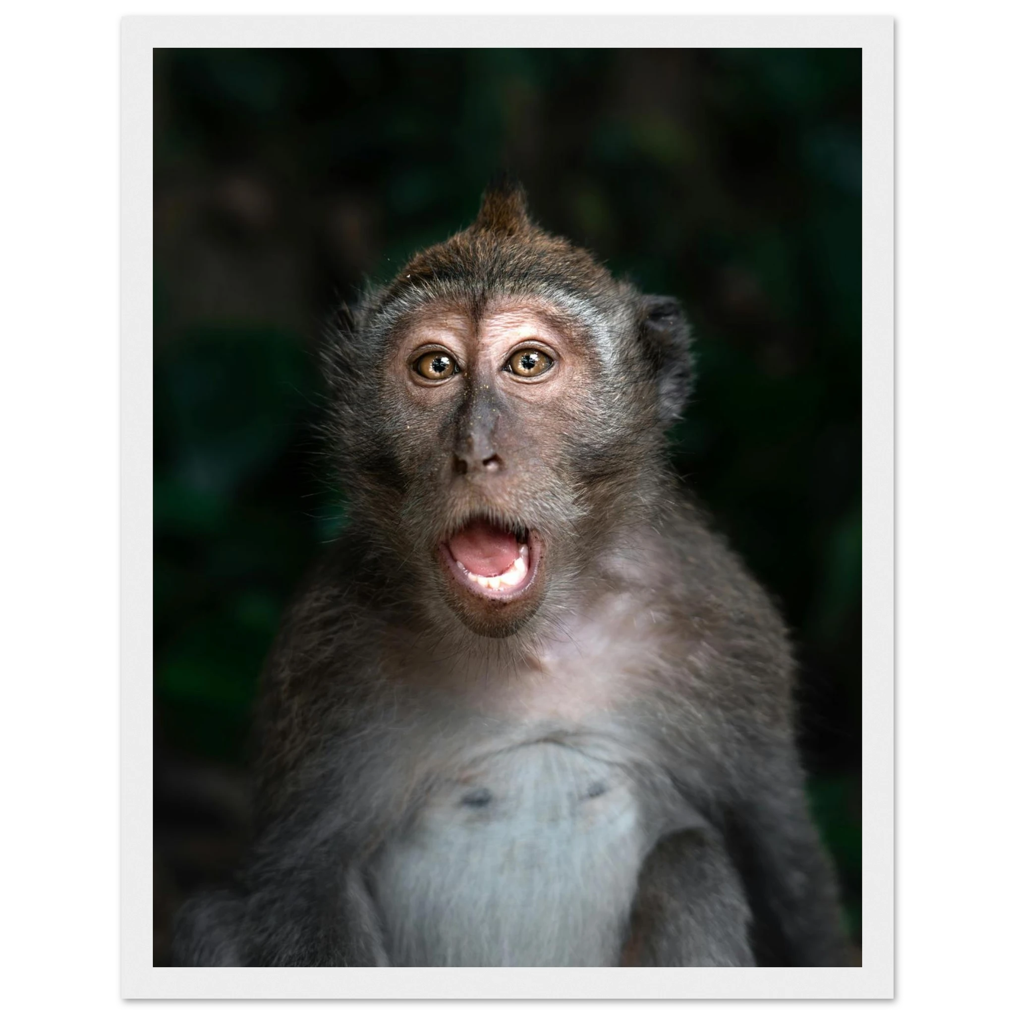 ea472229-c345-440f-a48c-71ba029010f6