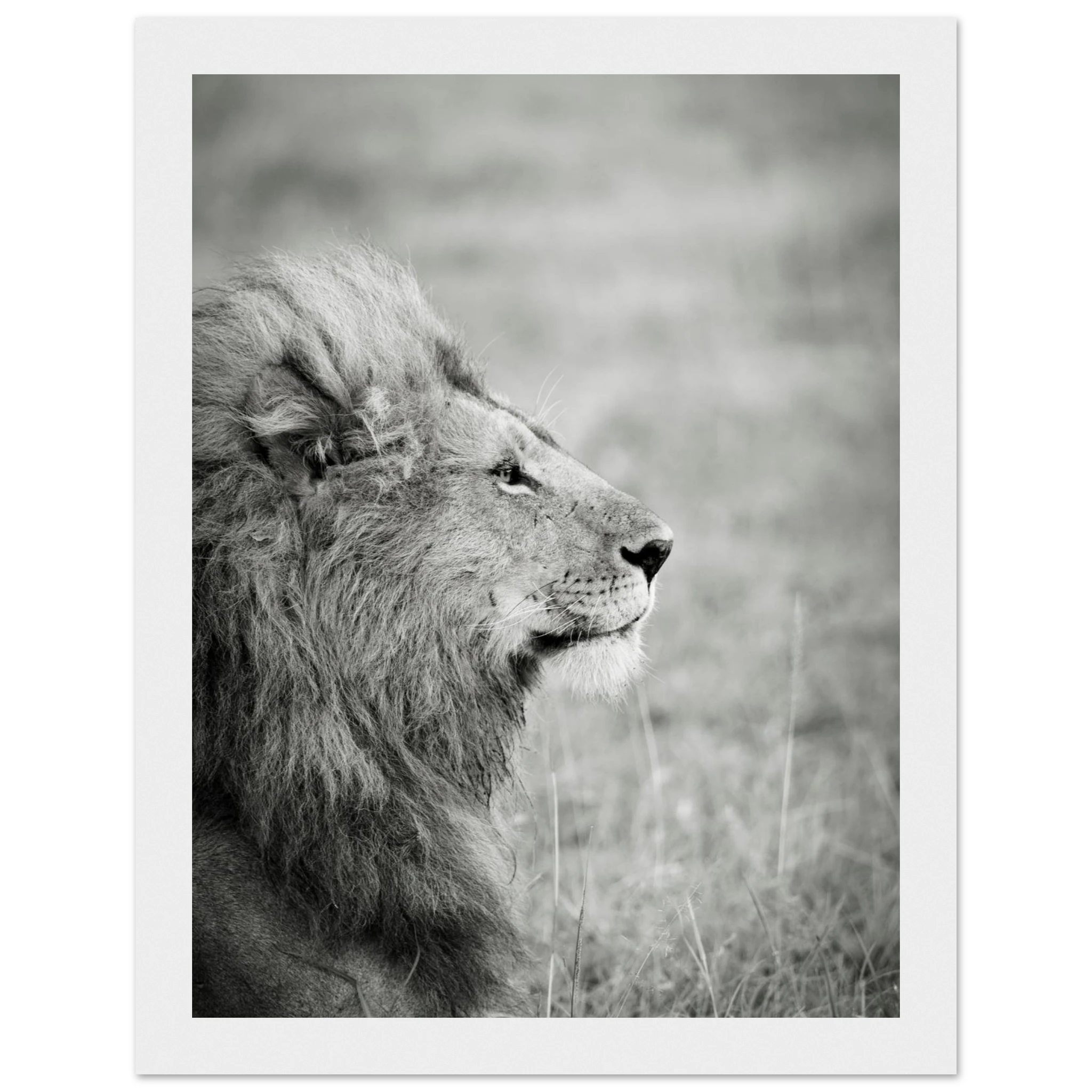 ea472908-fefc-4558-a374-4be9252b59f1