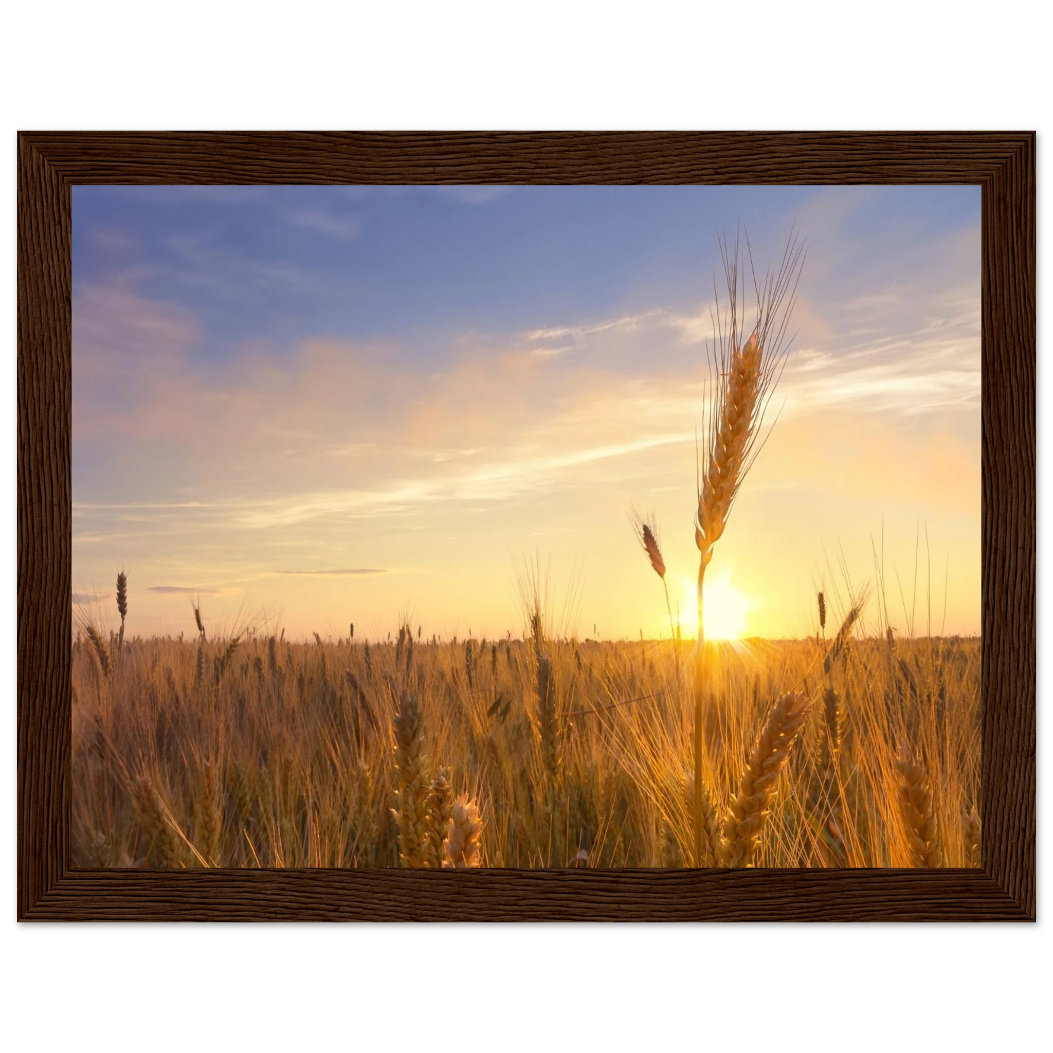 ea4af67d-cb32-47a1-a4c3-44df2df790fa