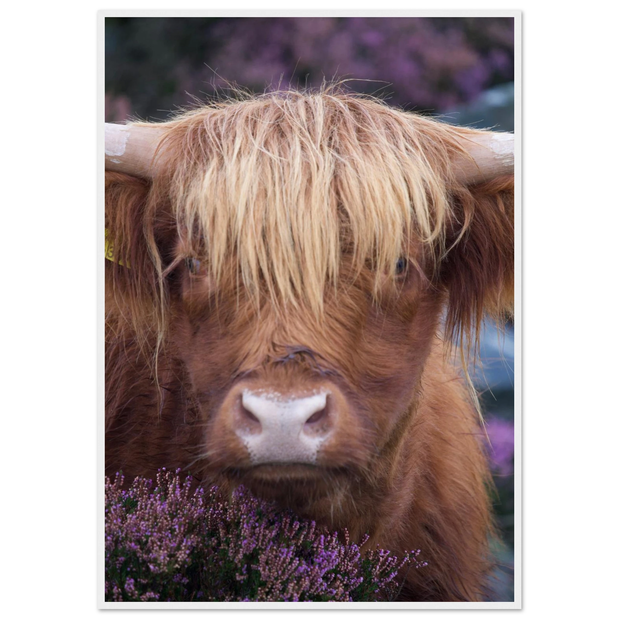 ea5fae1d-b34e-4033-a6ac-5283bd1033ef