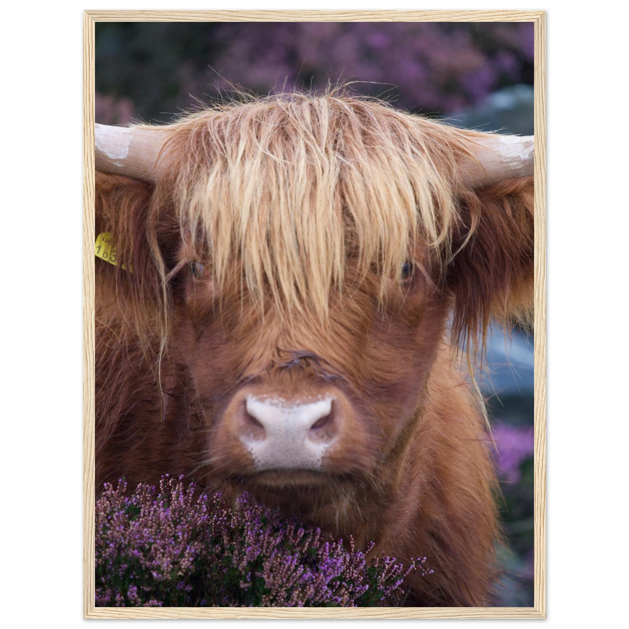 ea766c2c-dfce-400d-912f-074e14945c0e