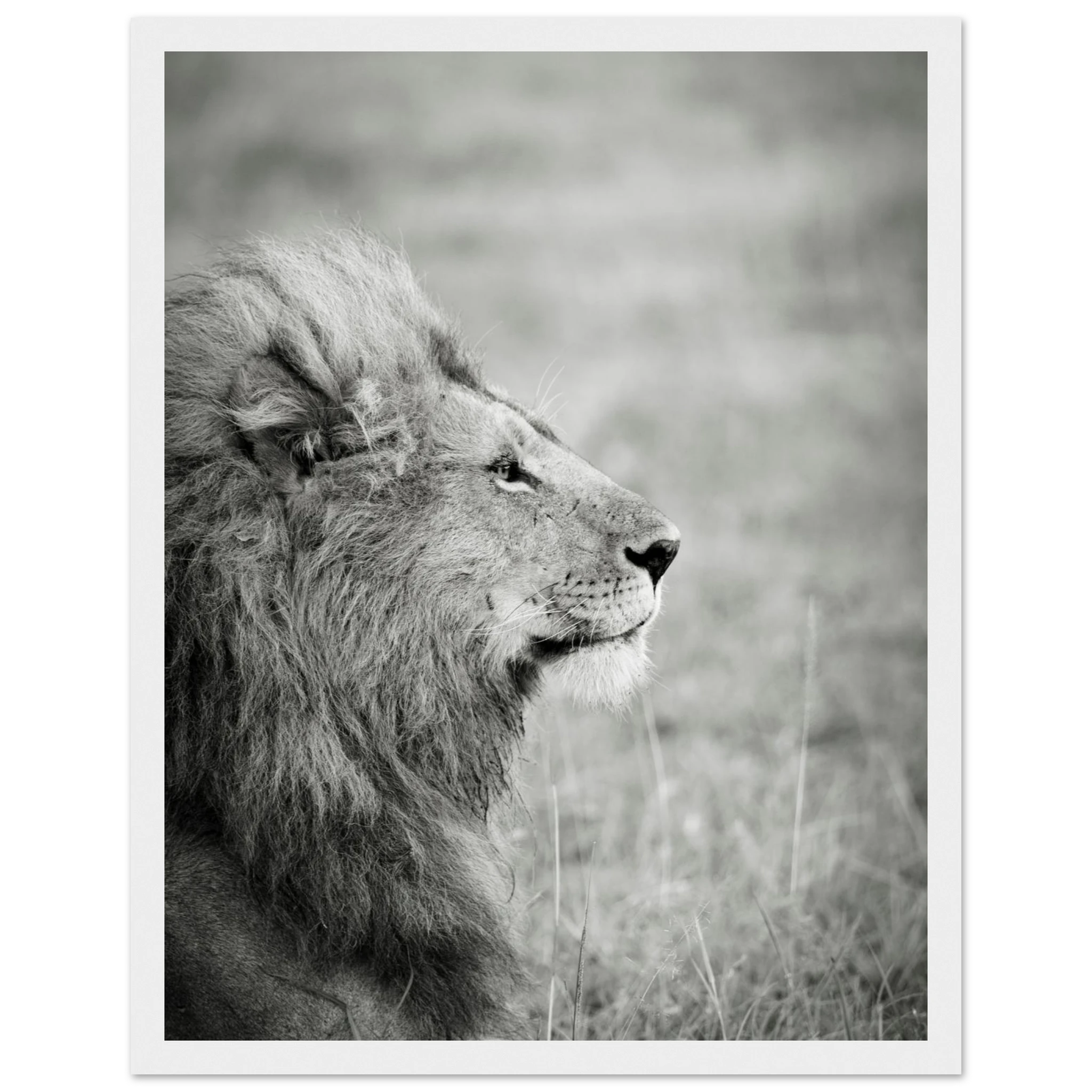 ea77ed63-3cb3-47fb-ab52-1b60da04aad7