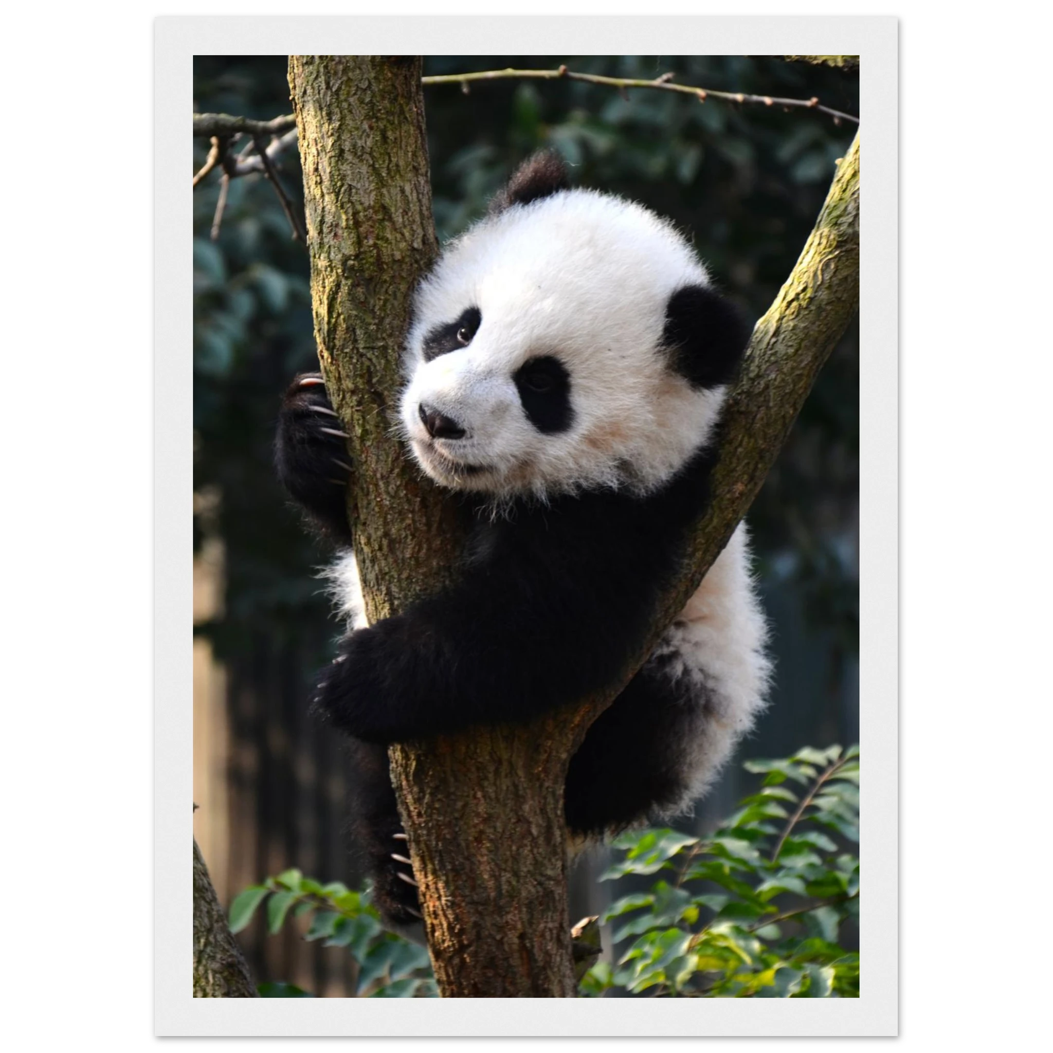 ea8d3817-6e87-4d75-a7c9-807d43d6280b