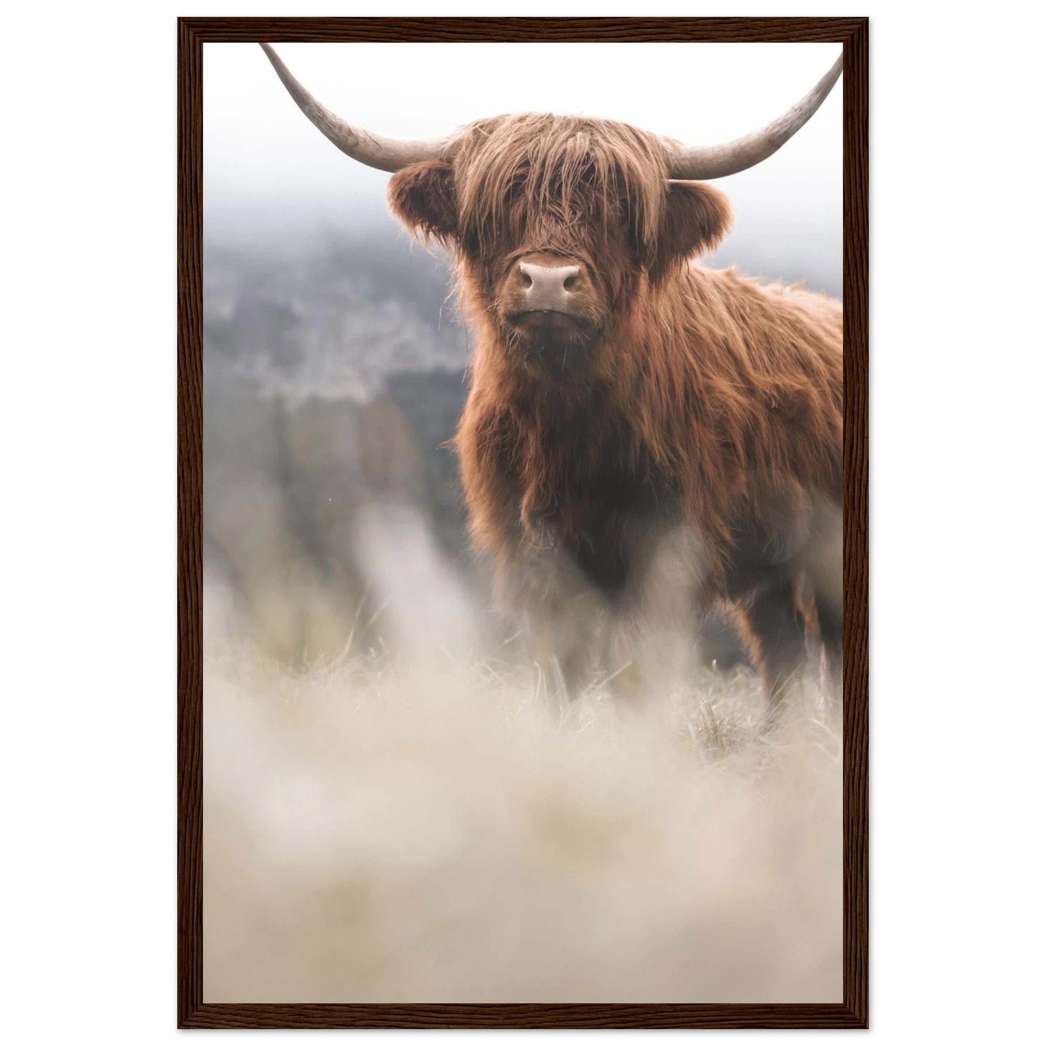 ea8e1e45-2fd8-4cd3-9722-d073b867dde4