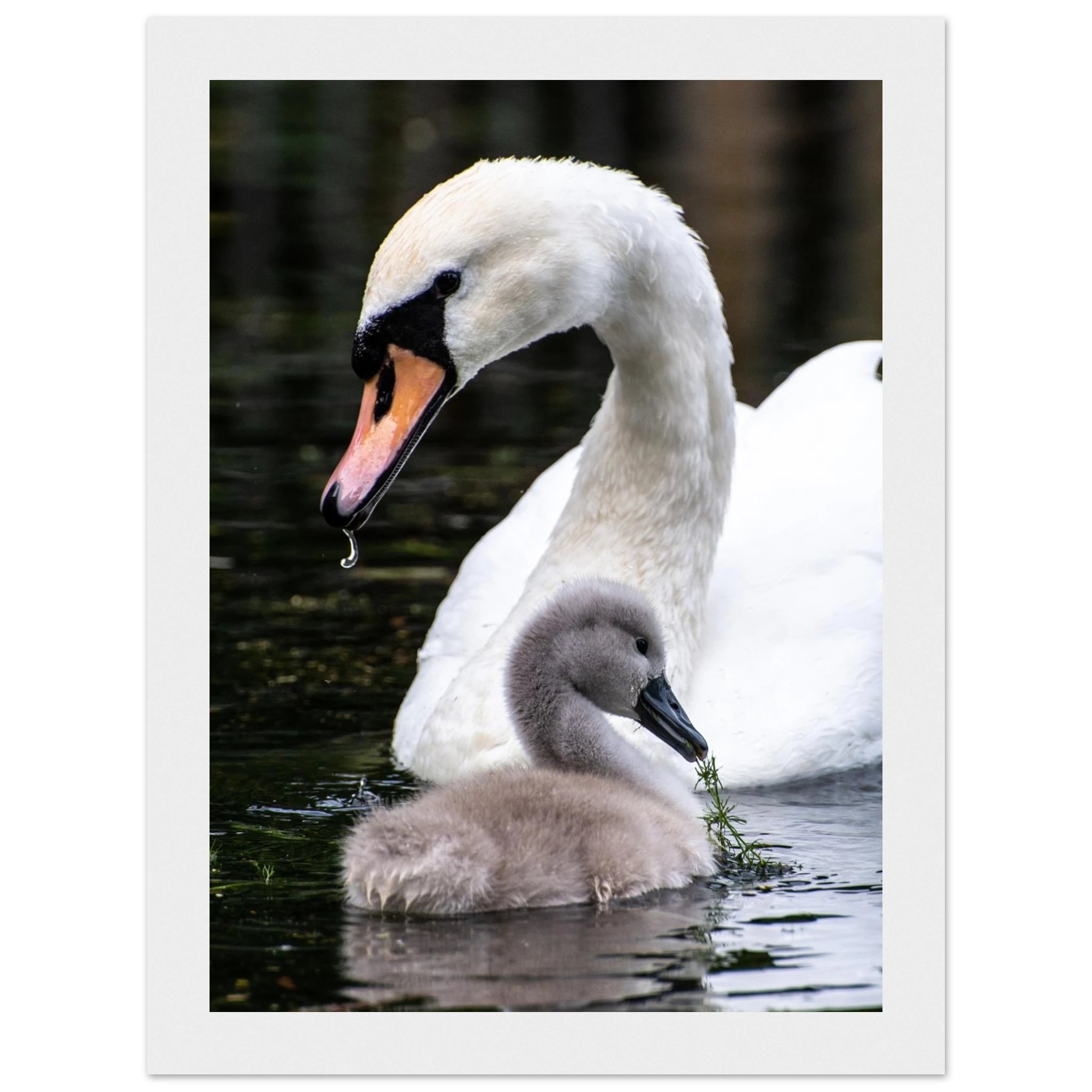 ea90cd2e-d27a-4ed6-8502-5996987bf643