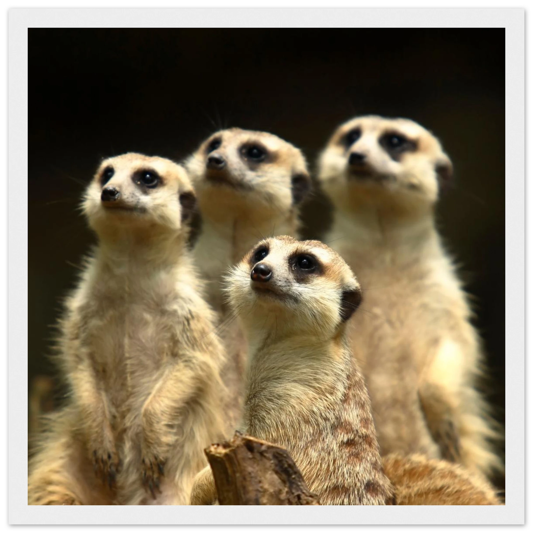 eaa34f82-4397-443a-9f11-e380117291f7