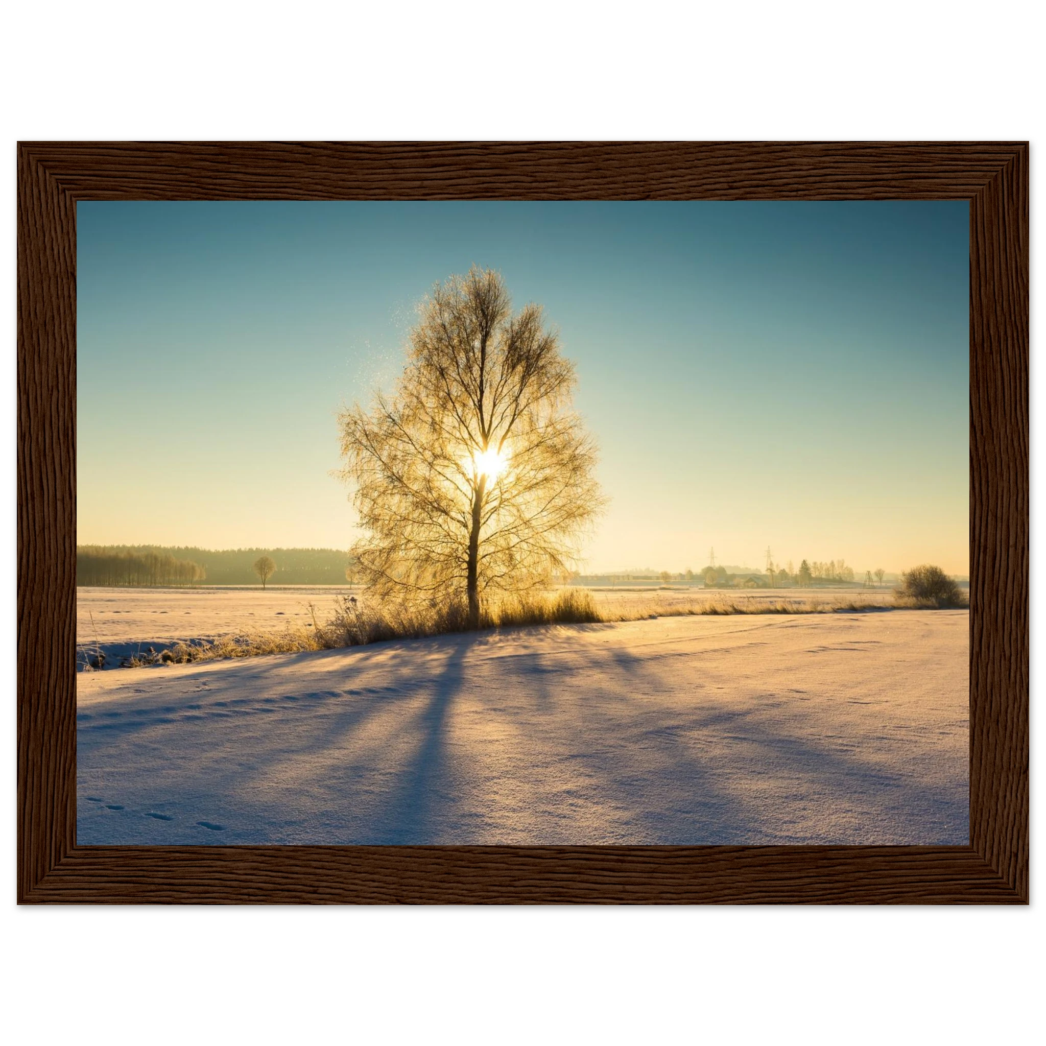 eab9383e-cdfc-47c7-864d-f65f0d4bb21c