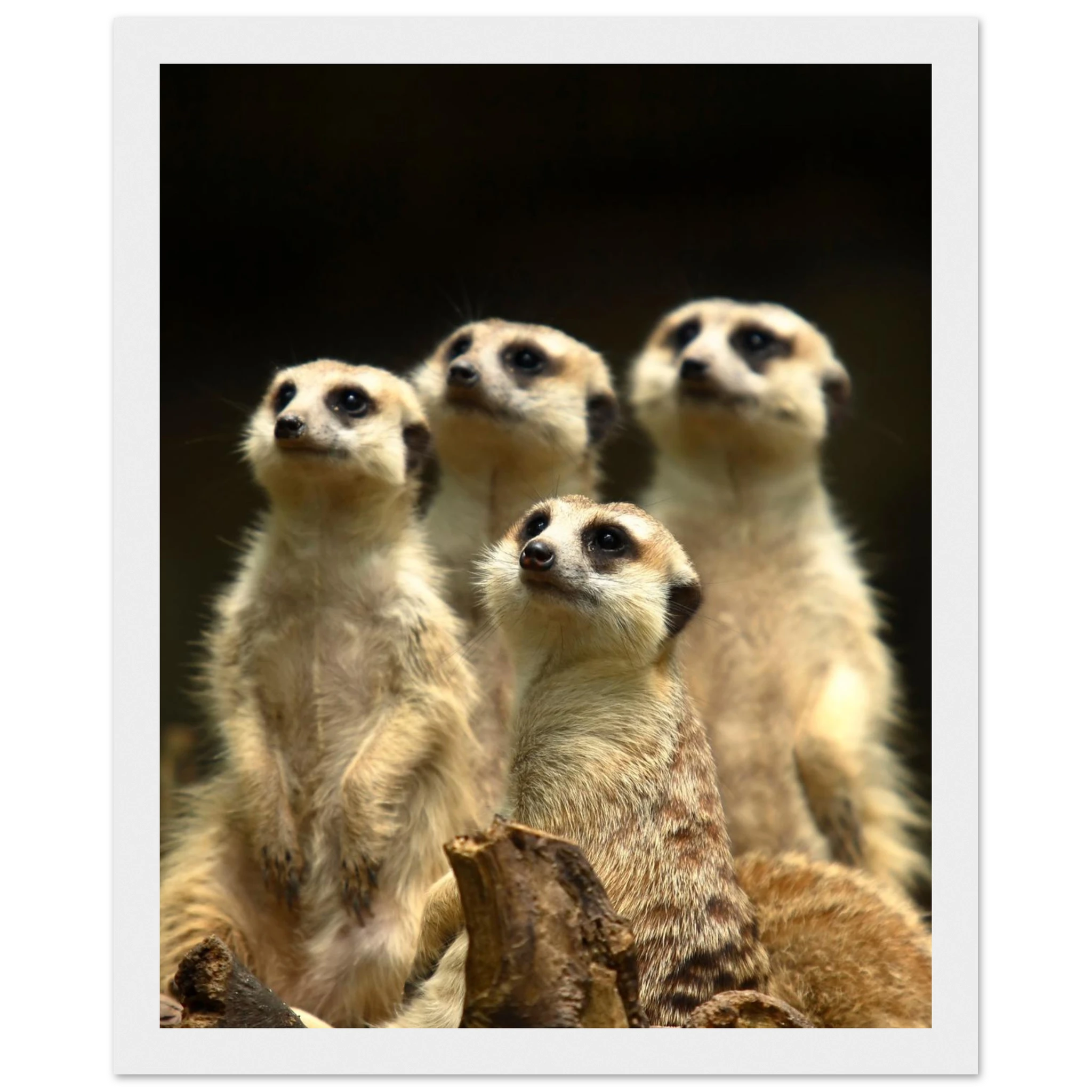 eab95b4a-4510-4615-a5f4-24b63d264ad5