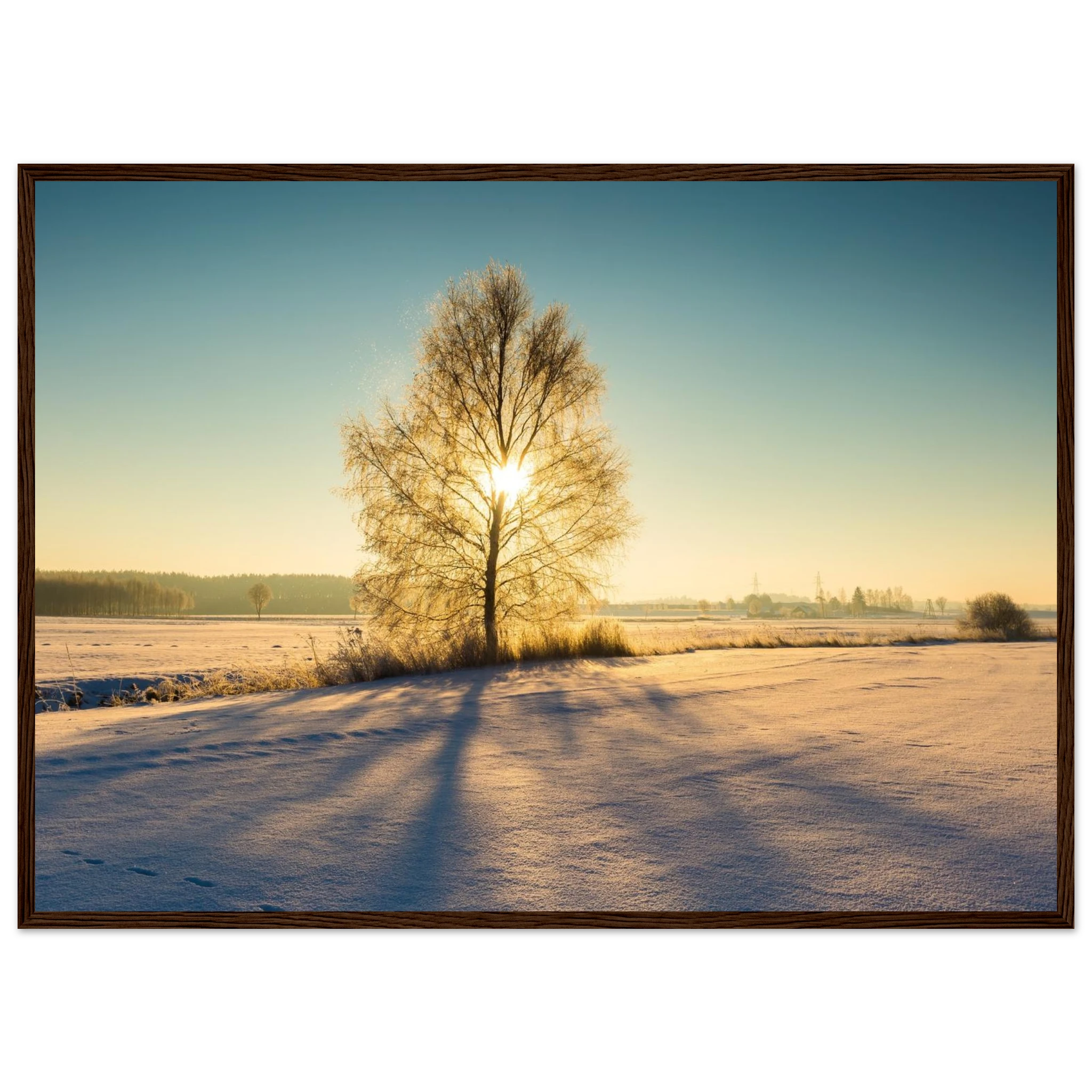 eace5f84-e046-4e47-a13b-75aab64ba9fc