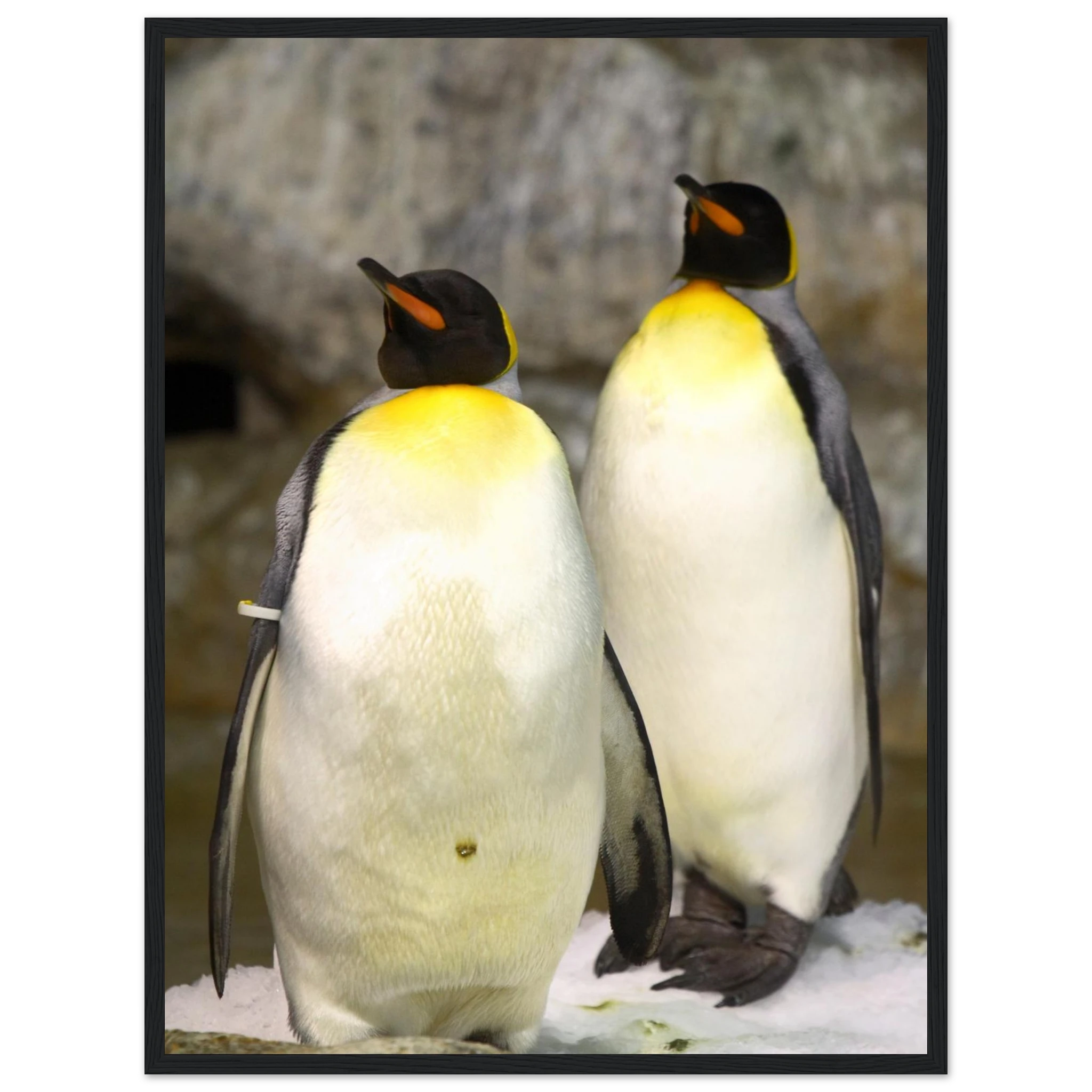 eadbdc59-227e-45f7-b004-b60f6db4b582