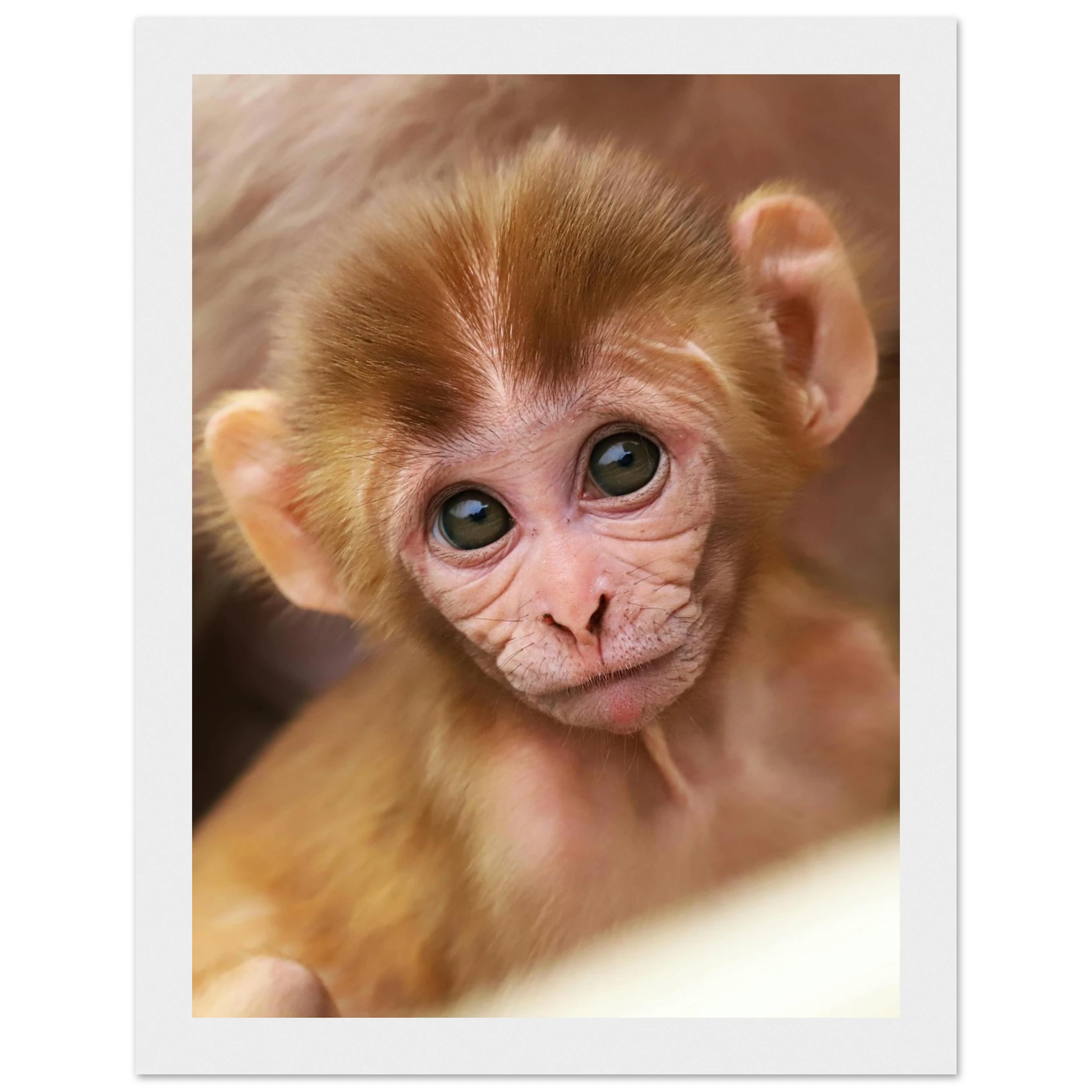 eaea853d-f523-4f5b-8abf-1142dbe8ca17