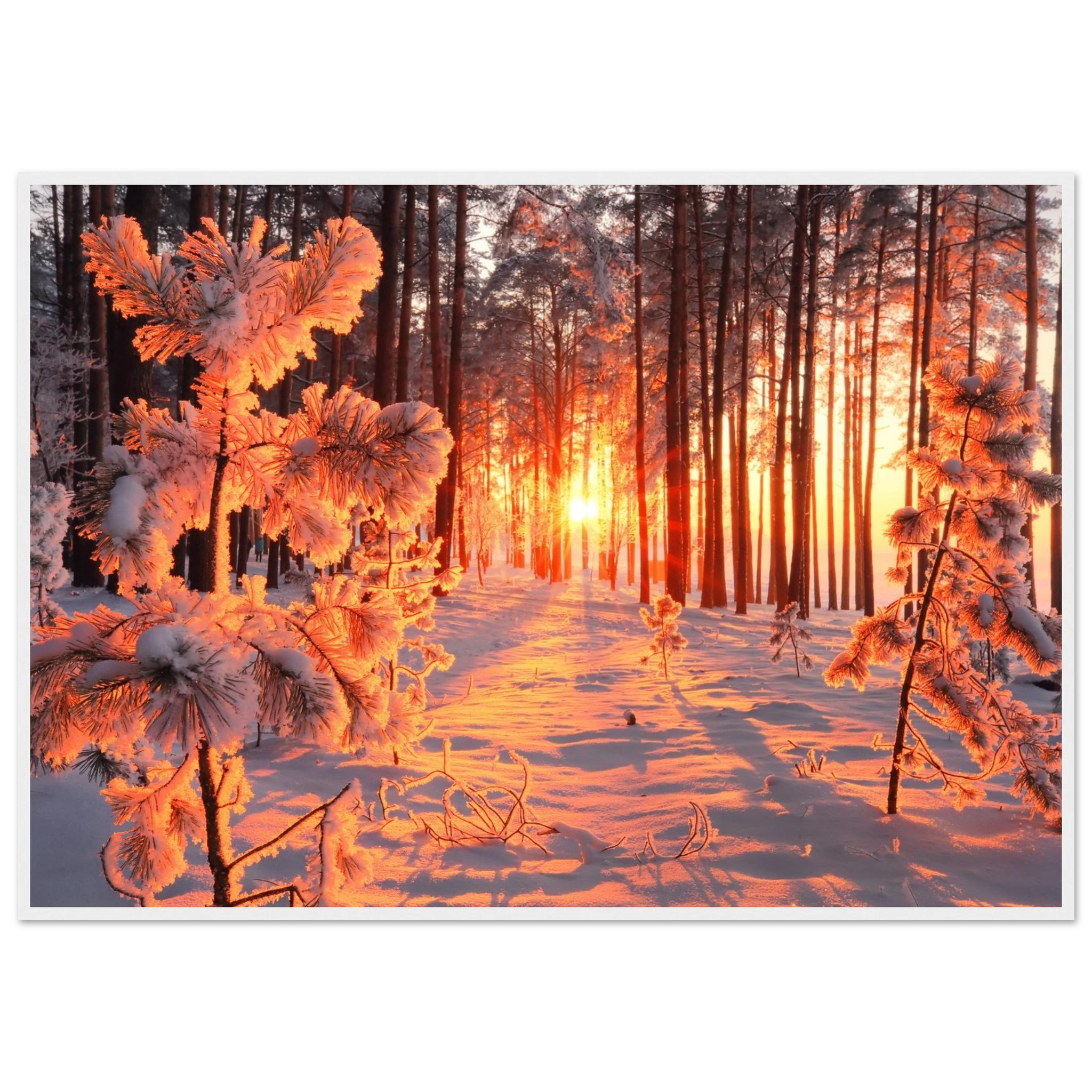 eaf230f0-ef48-4f20-9257-3611fdab36b5