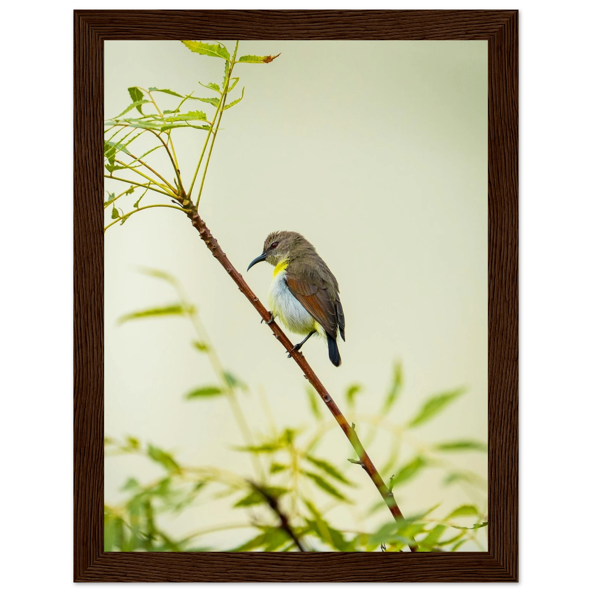 eaf32272-1387-473b-80e3-cedd119dcc1b