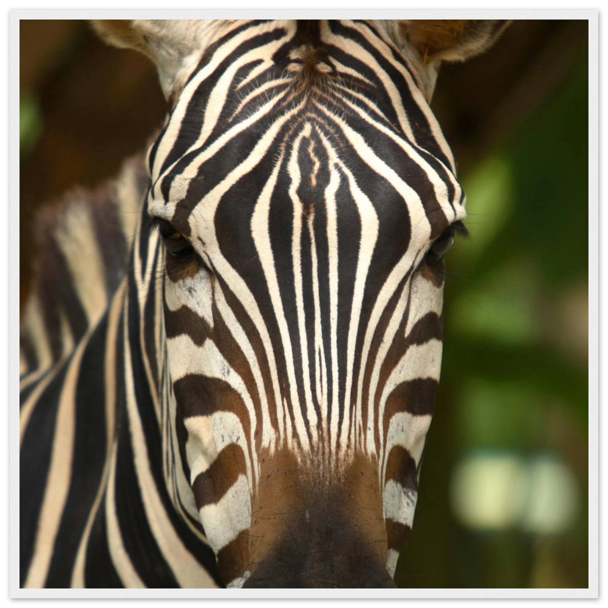 eb0f6a59-e50b-45f4-922b-b5db0aa008a0